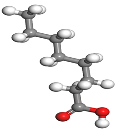 Molecules 26 03535 i019