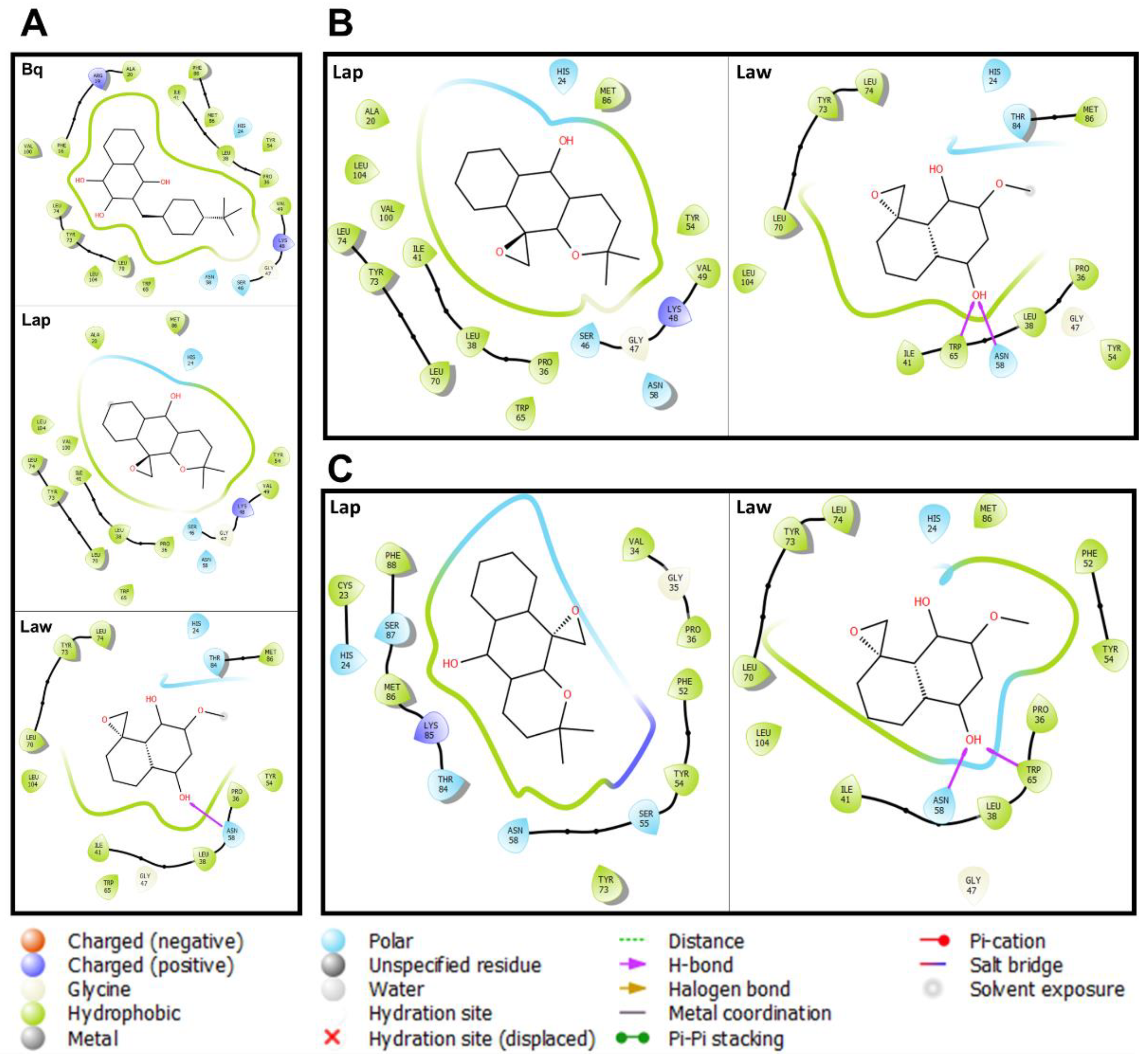 Molecules 26 03537 g003 Molecules 26 03537 g003