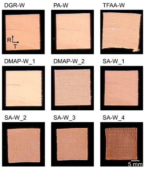 Molecules Free Full Text Effect Of The Propionylation Method On The Deformability Under Thermal Pressure Of Block Shaped Wood Html