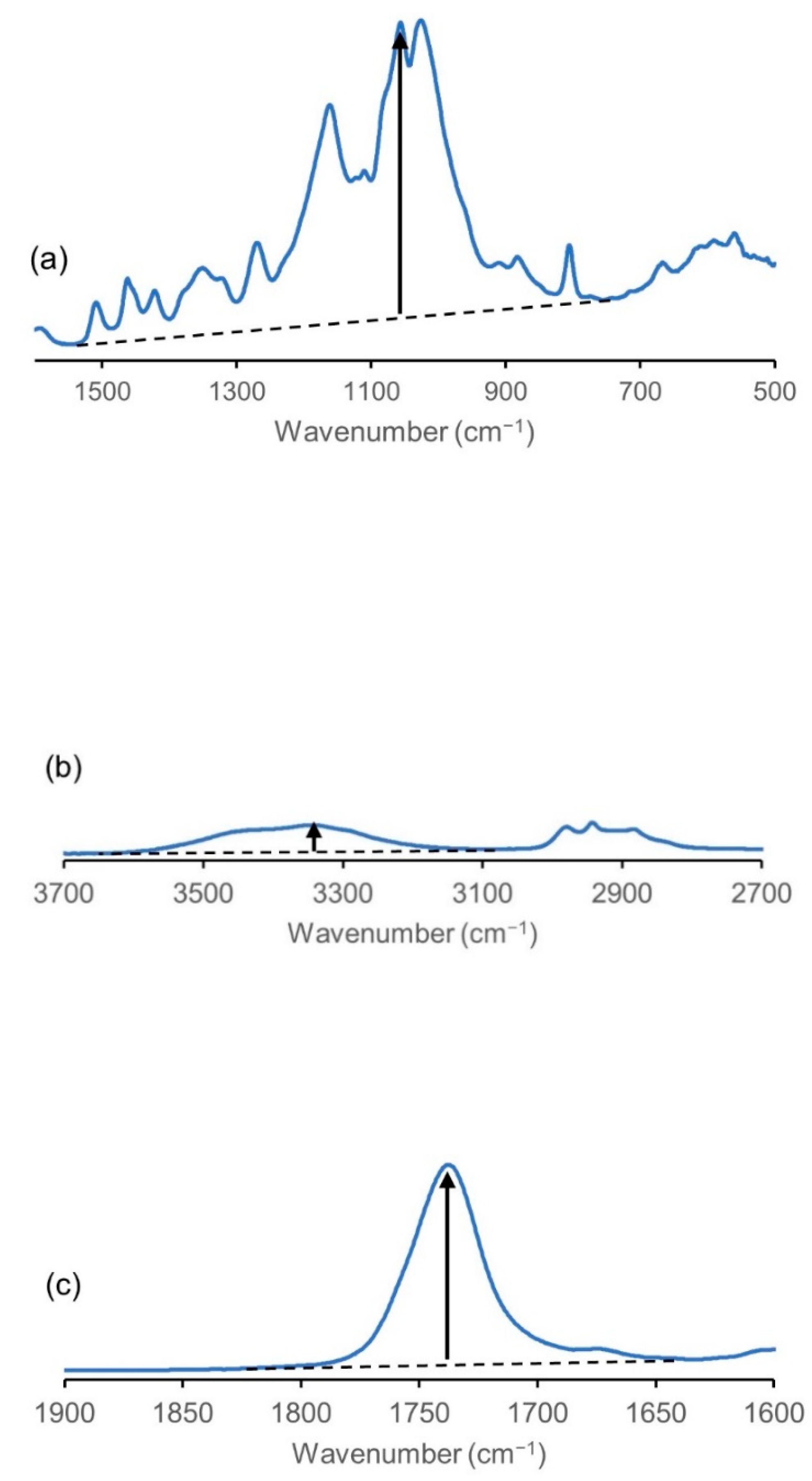 Molecules 26 03539 g003 Molecules 26 03539 g003