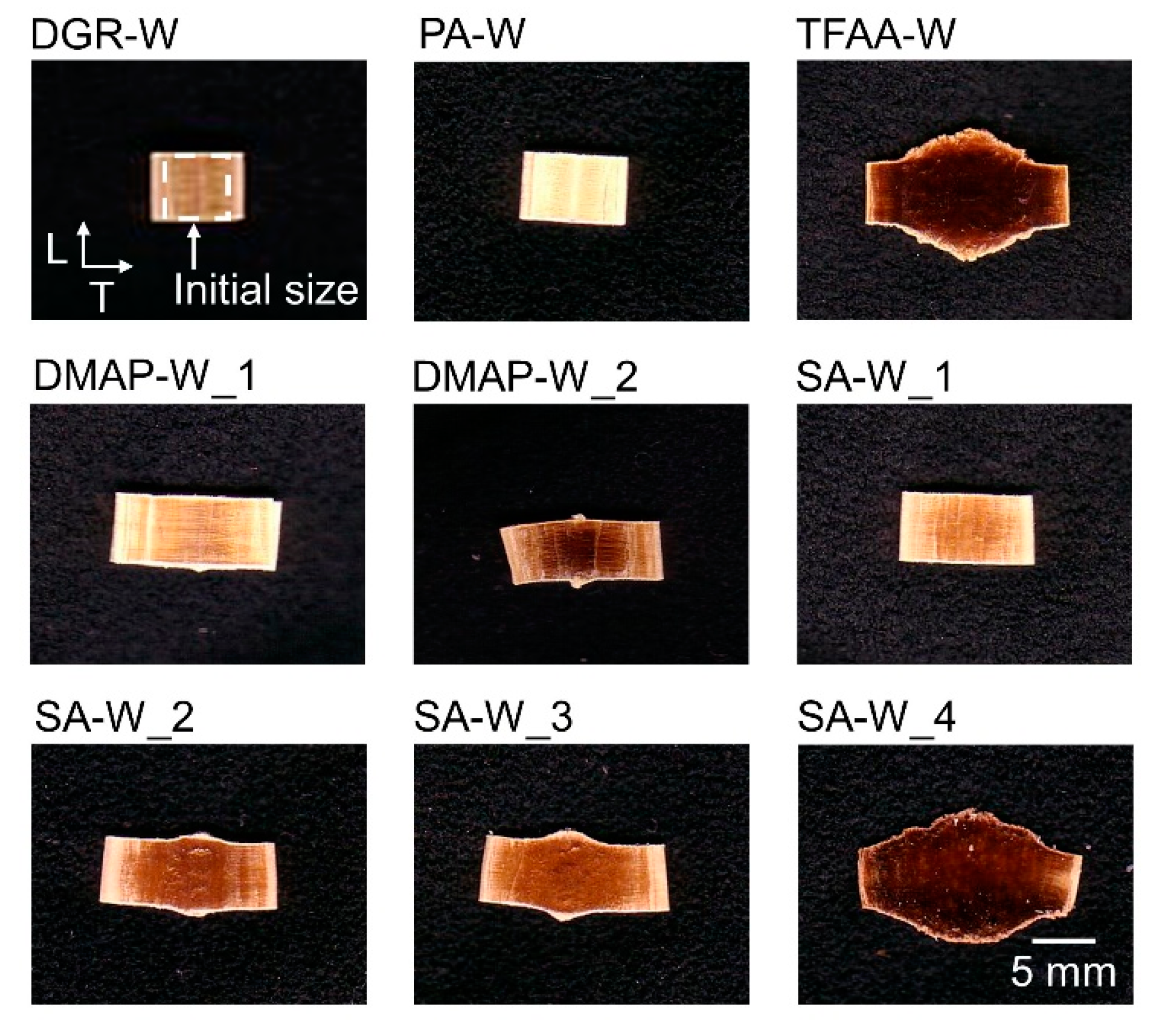 Molecules 26 03539 g006 Molecules 26 03539 g006