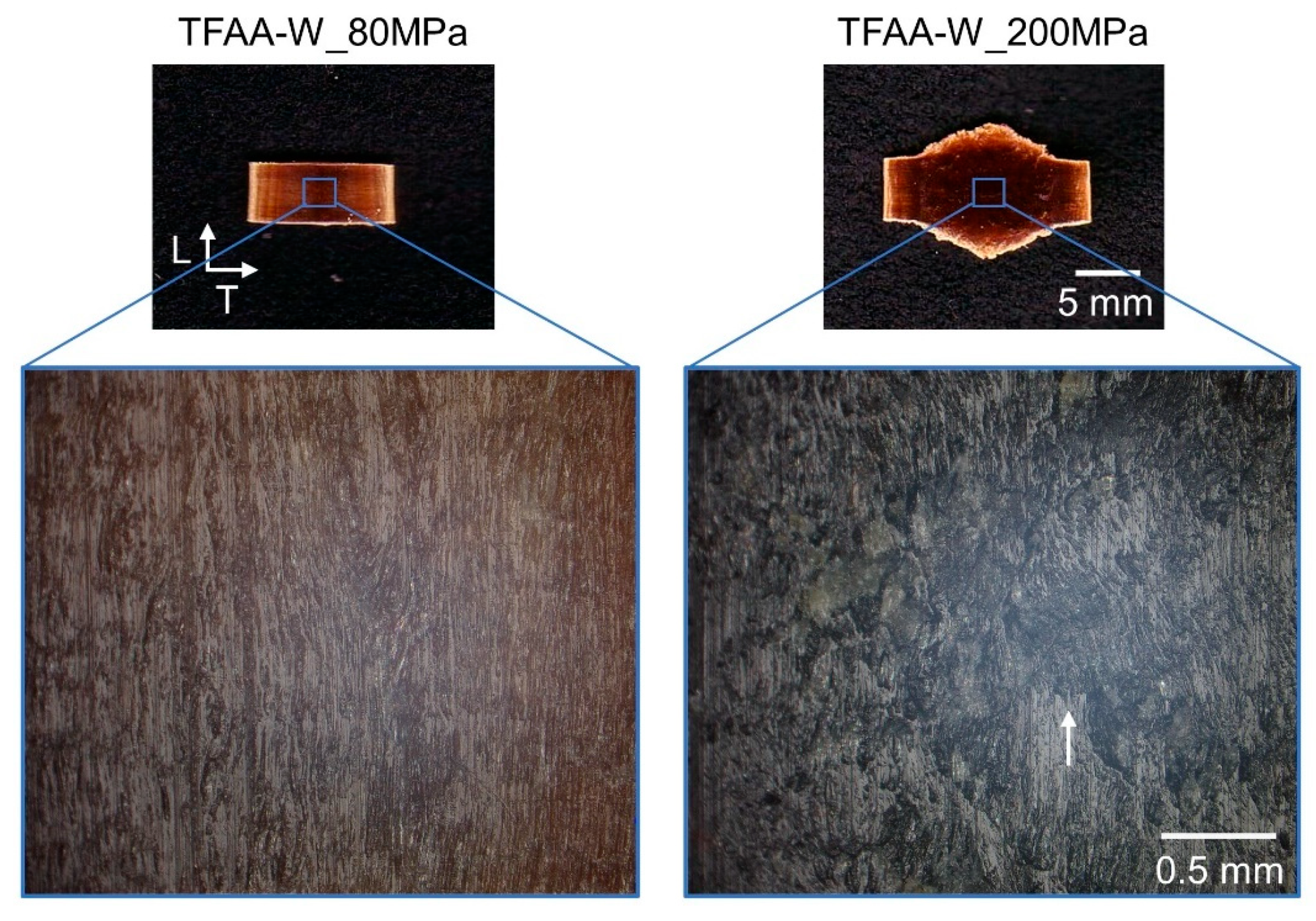 Molecules 26 03539 g009 Molecules 26 03539 g009