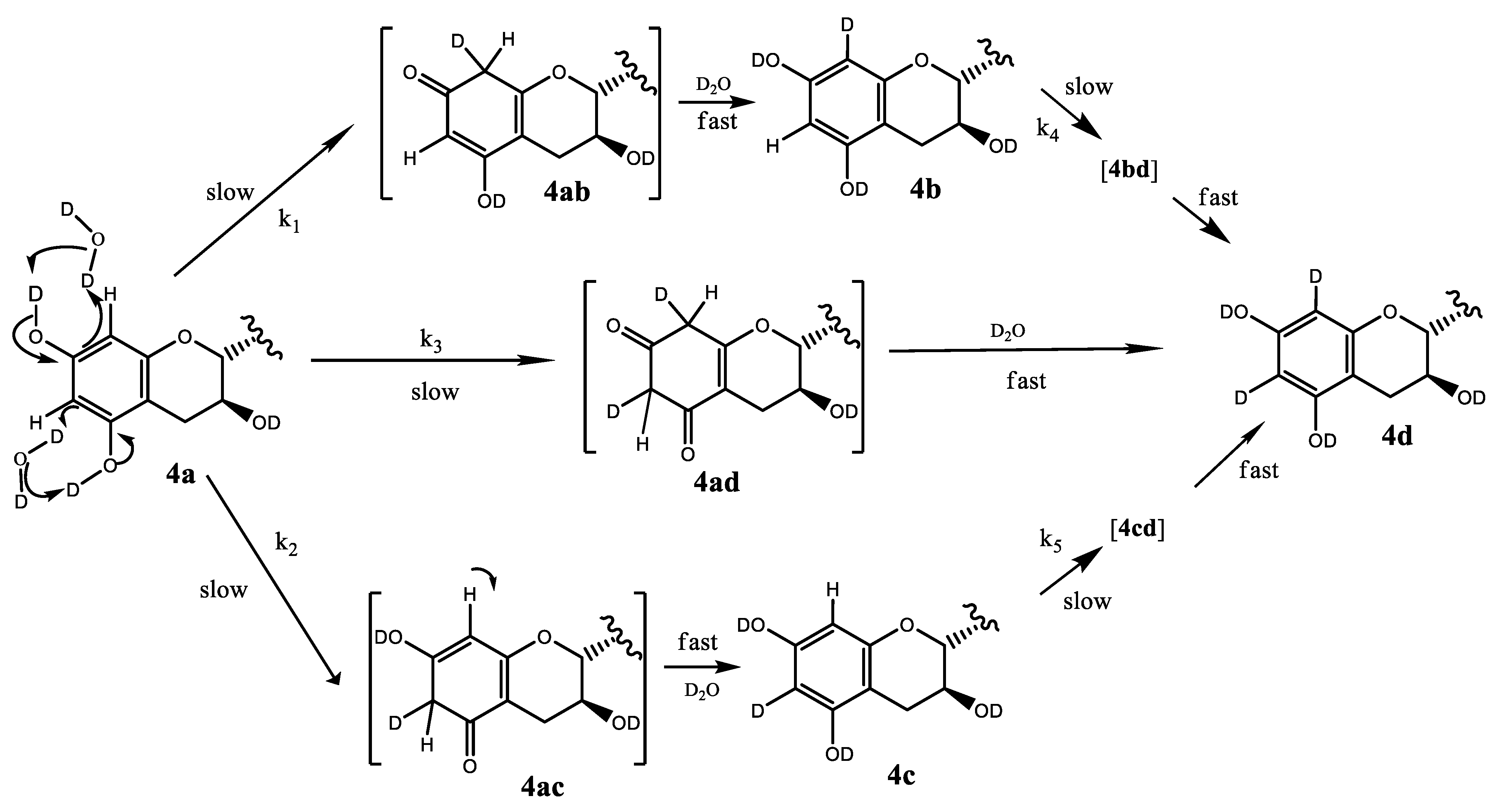 Molecules 26 03544 sch004