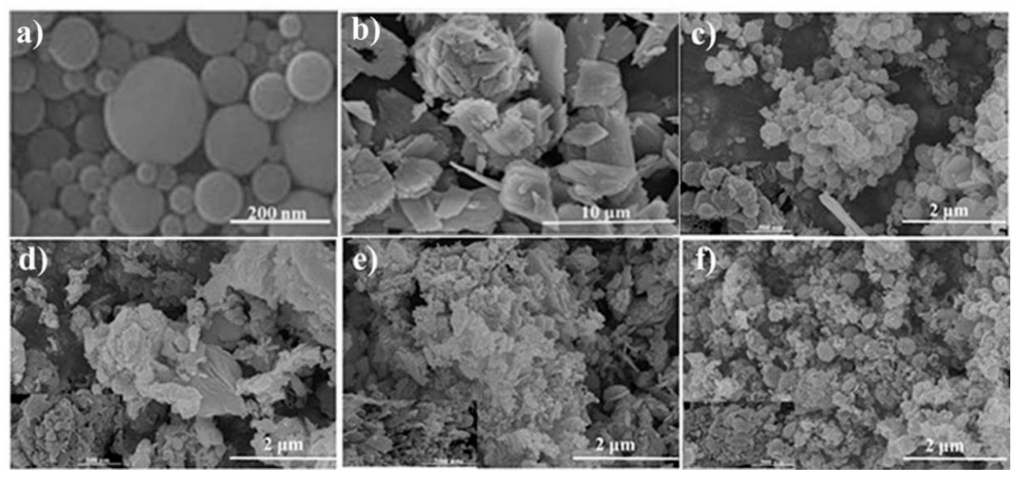Molecules 26 03554 g002 Molecules 26 03554 g002