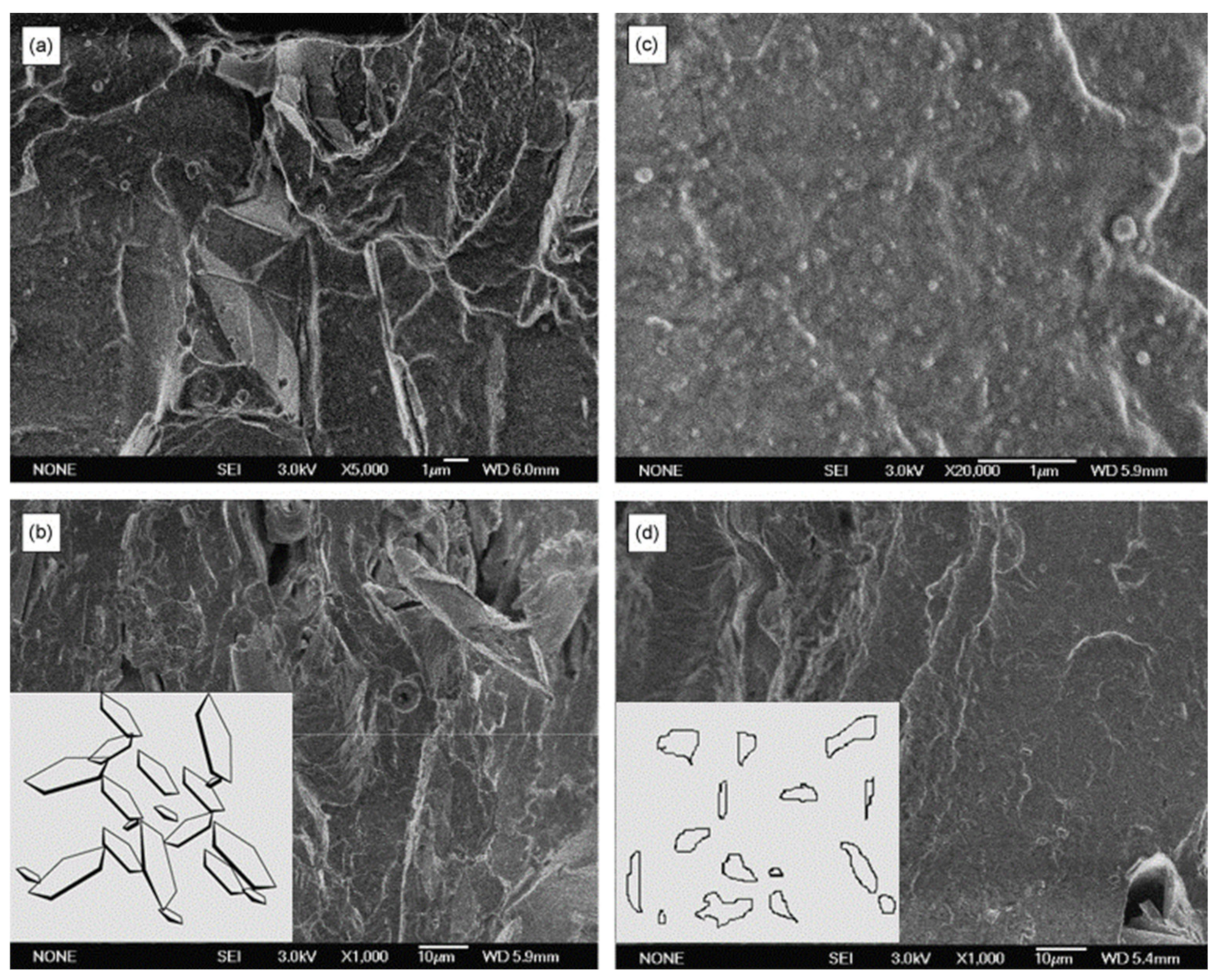 Molecules 26 03555 g004 Molecules 26 03555 g004