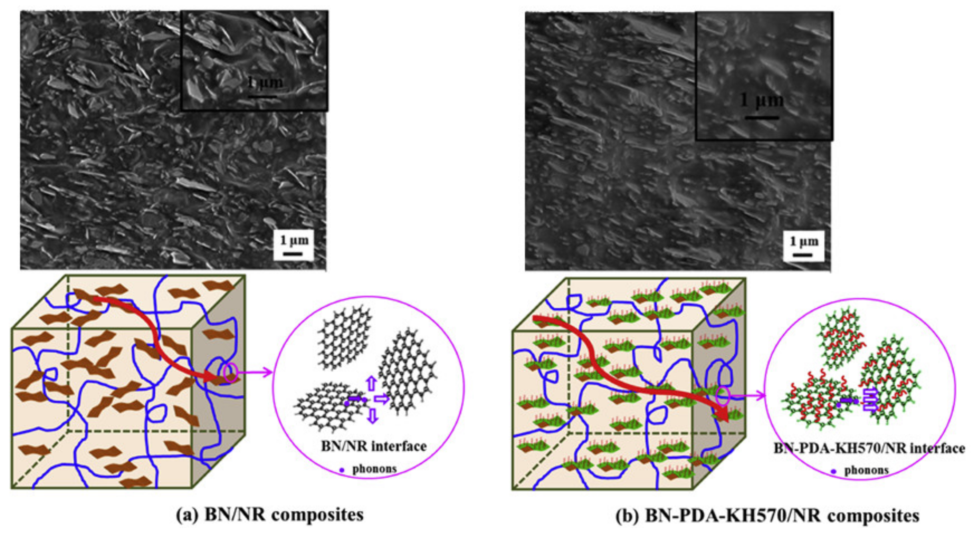 Molecules 26 03555 g014 Molecules 26 03555 g014