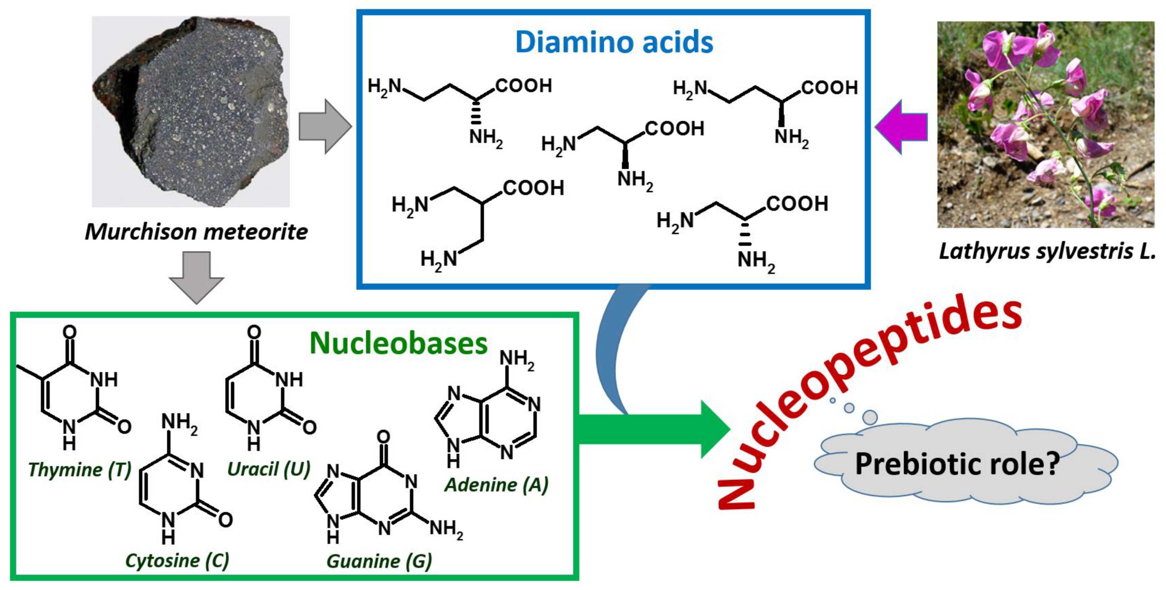 Molecules 26 03558 g002 Molecules 26 03558 g002