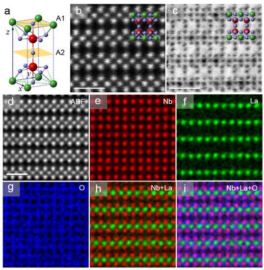 Defect Engineering and Anisotropic Modulation of Ionic Transport