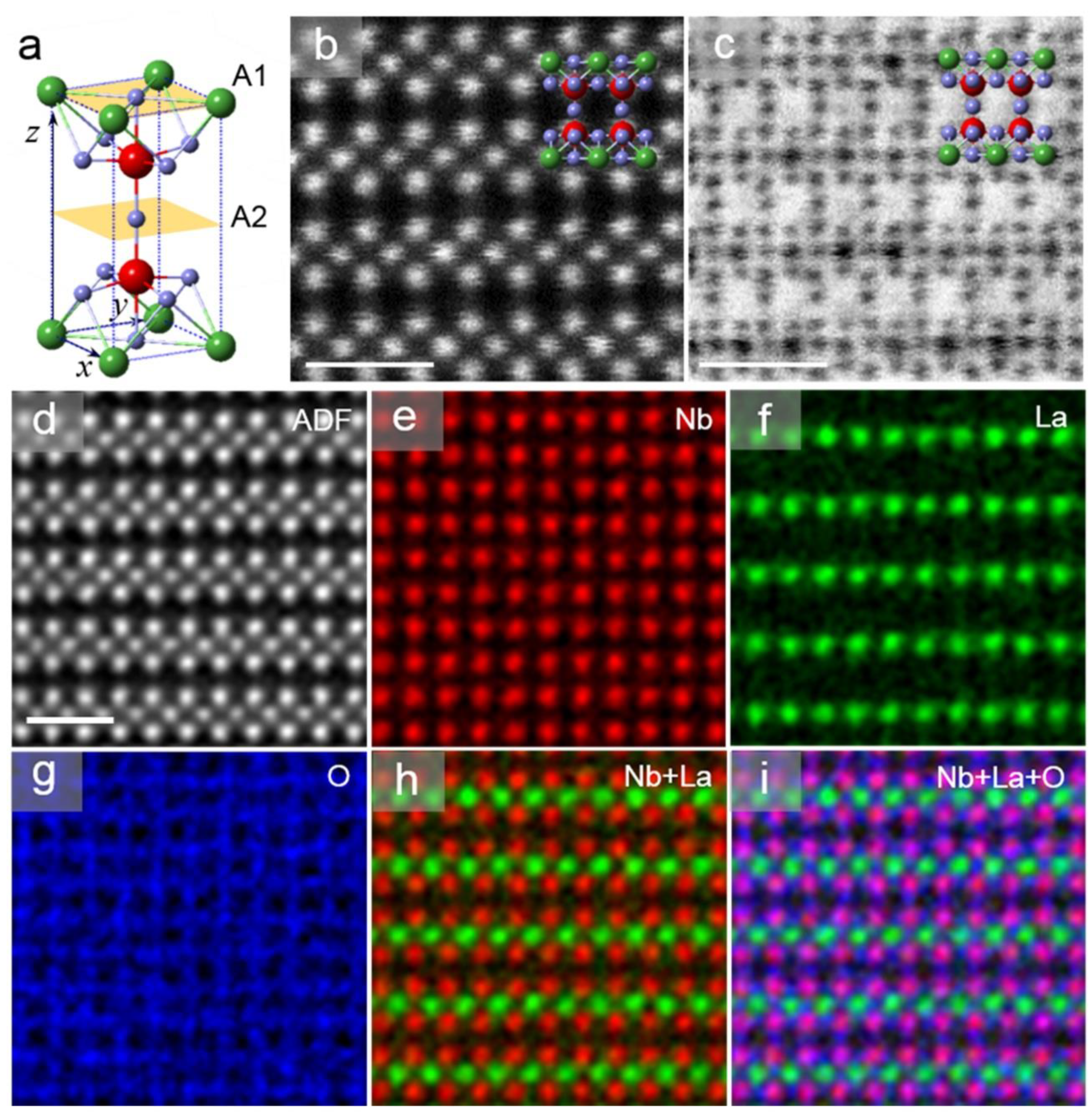 Molecules 26 03559 g001 Molecules 26 03559 g001