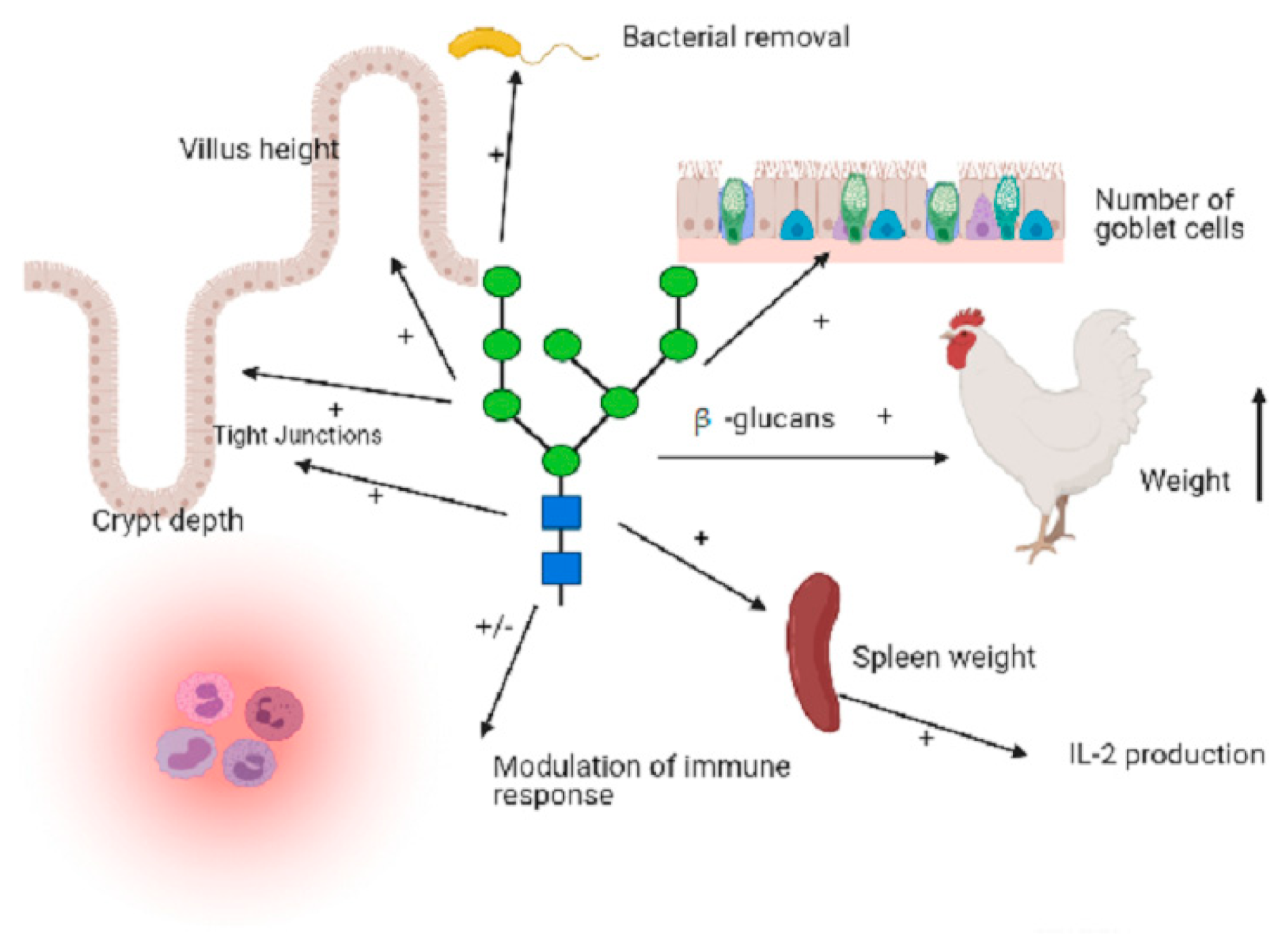 Molecules 26 03560 g001 Molecules 26 03560 g001