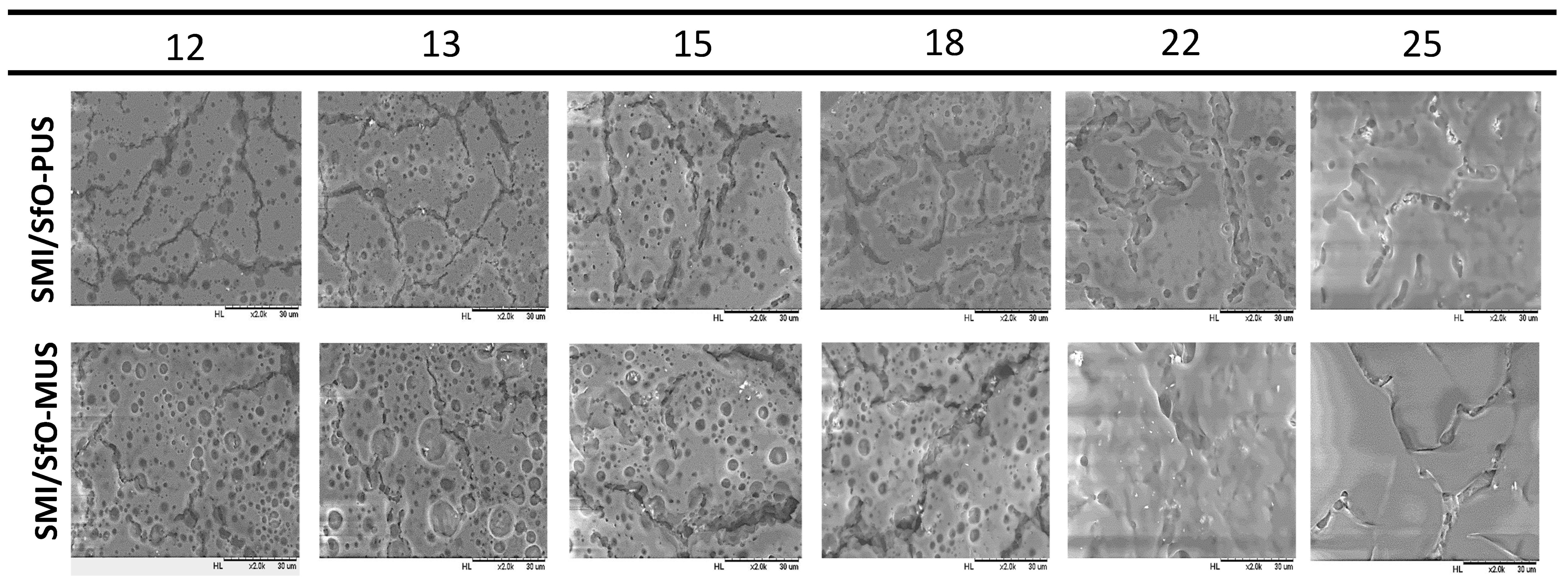 Molecules 26 03561 g003 Molecules 26 03561 g003