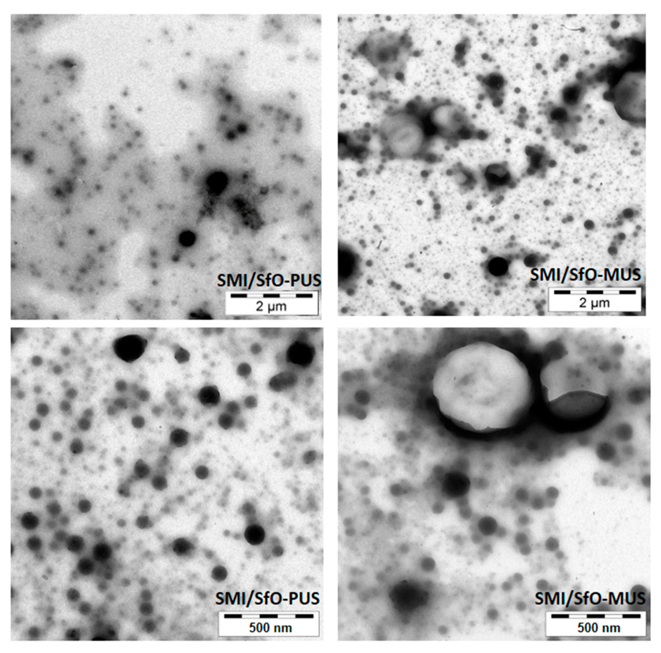 Molecules 26 03561 g004 Molecules 26 03561 g004