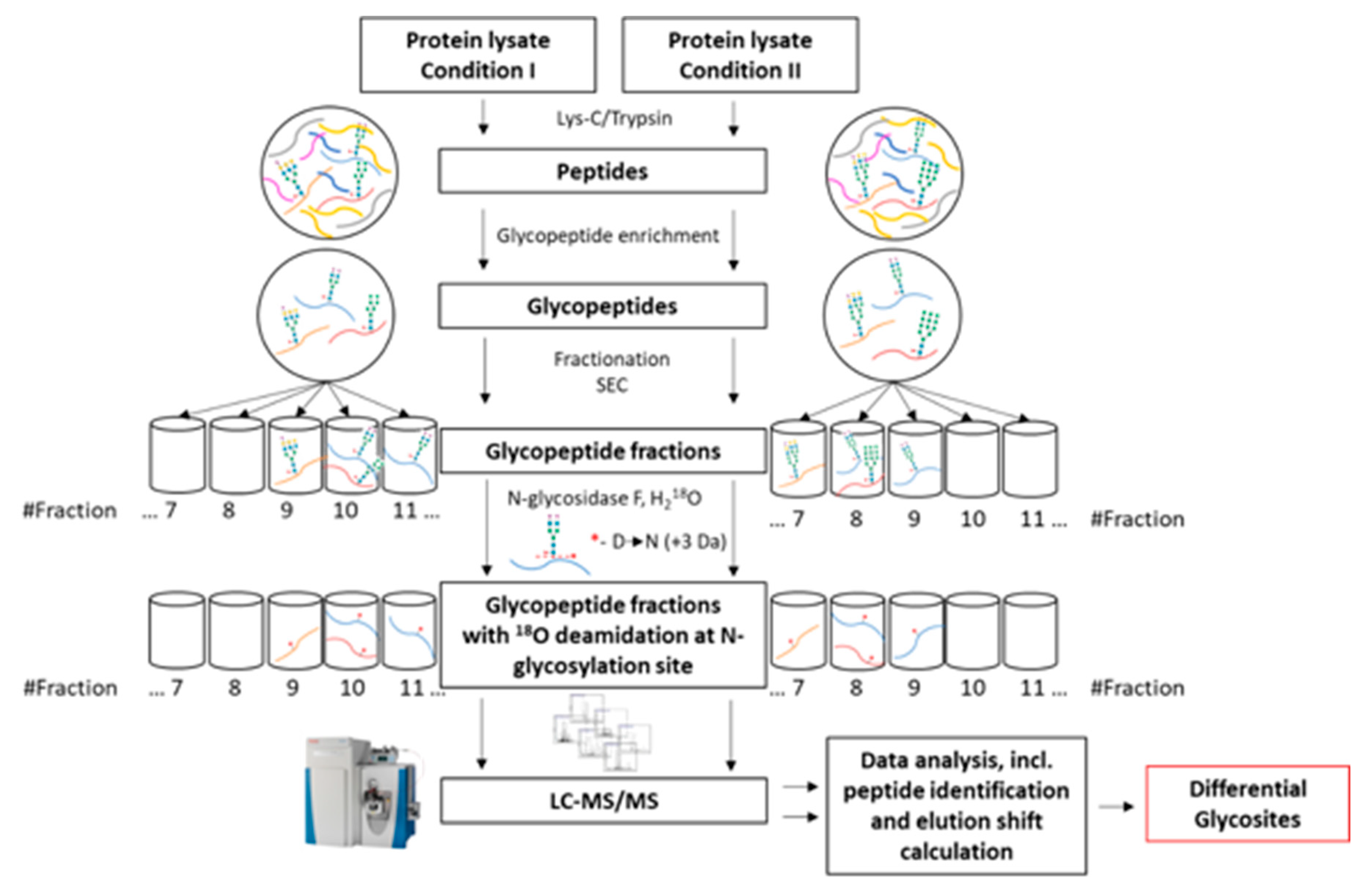 Molecules 26 03564 g004 Molecules 26 03564 g004