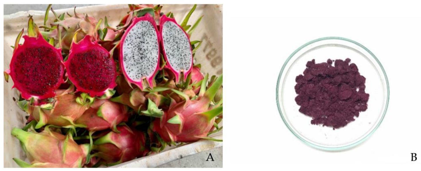 Seeds Shop  Pitaya Red Dragon fruit Seeds - Plant & Growing Guide