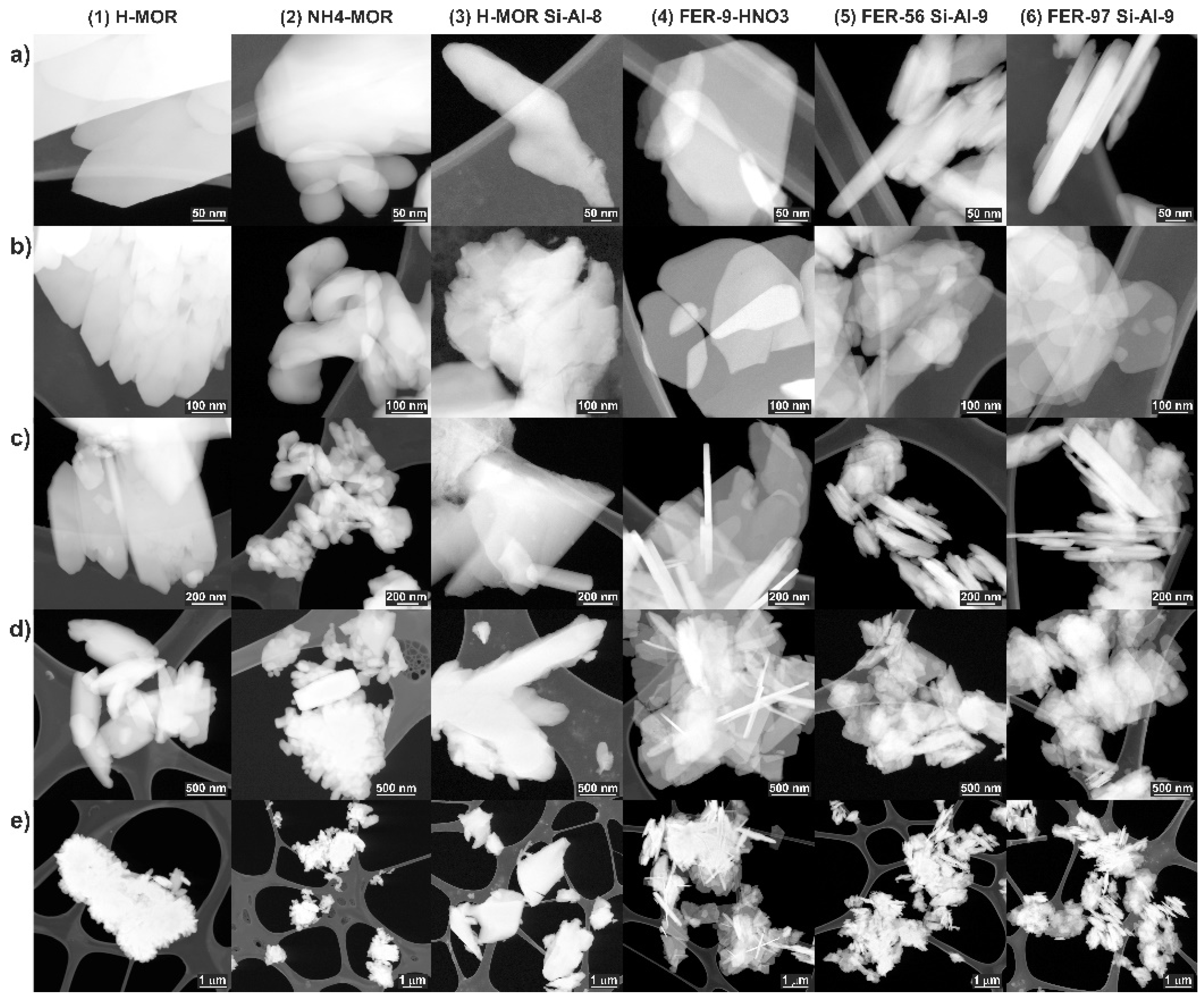 Molecules 26 03566 g013