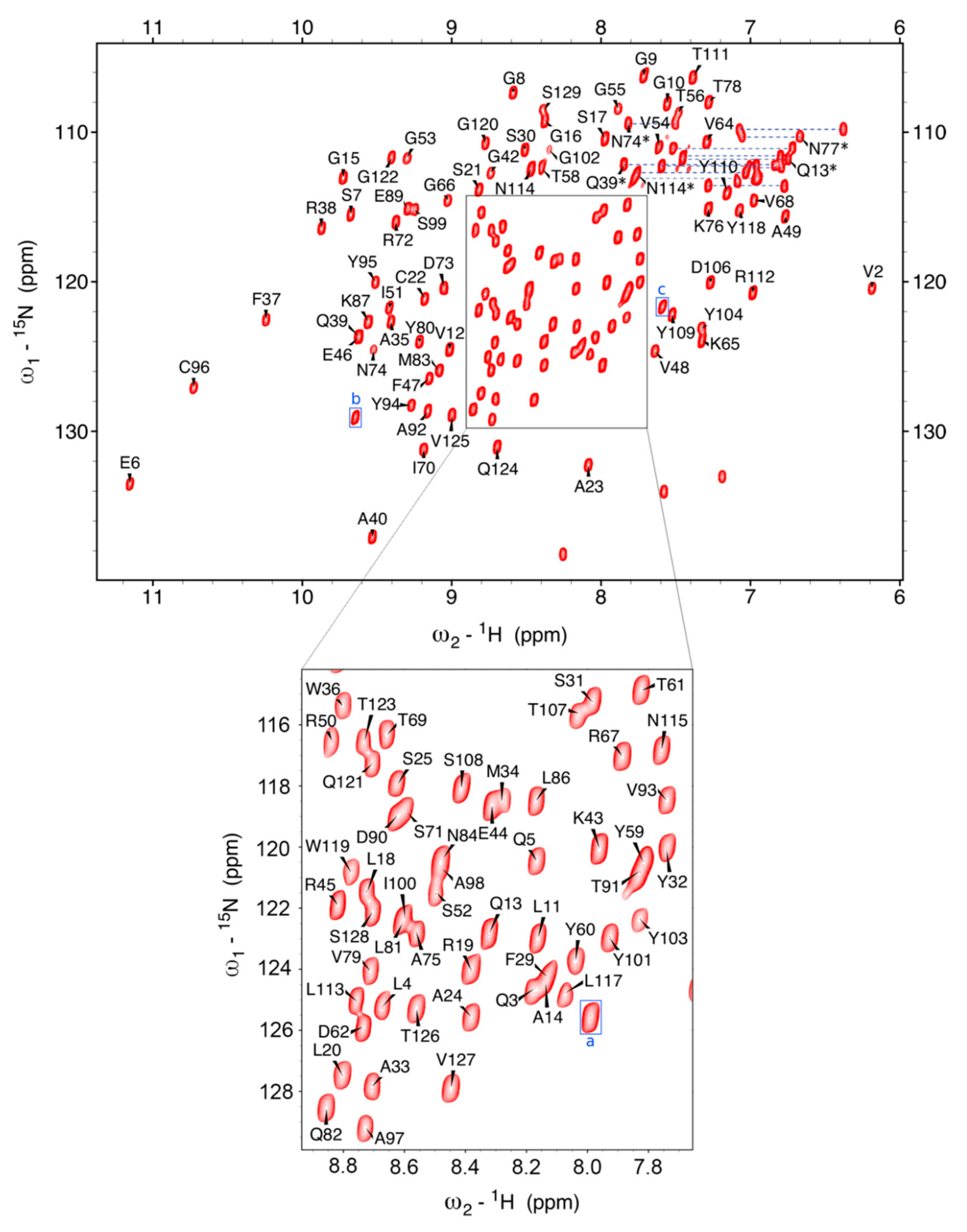 Molecules 26 03567 g001