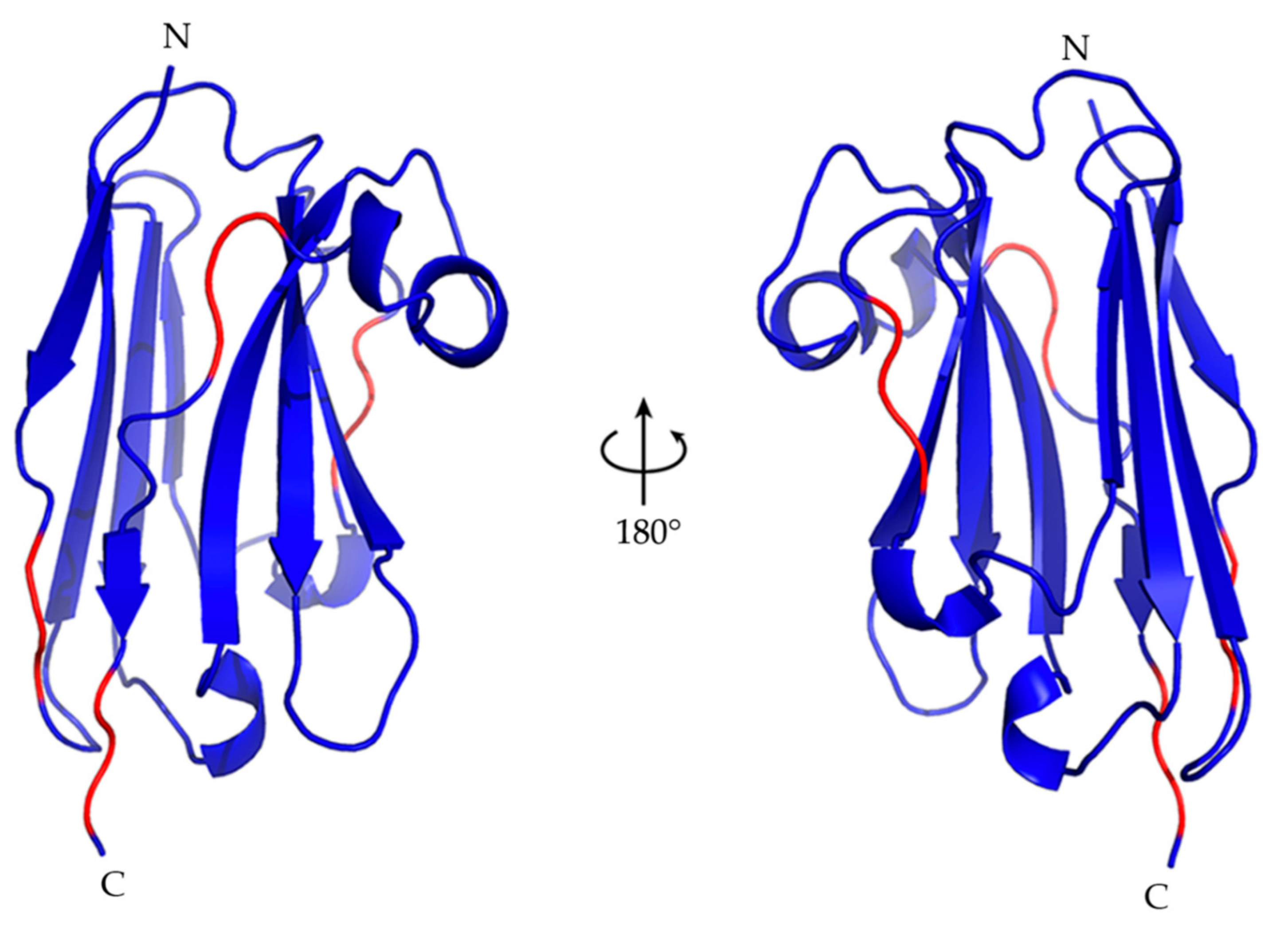 Molecules 26 03567 g004