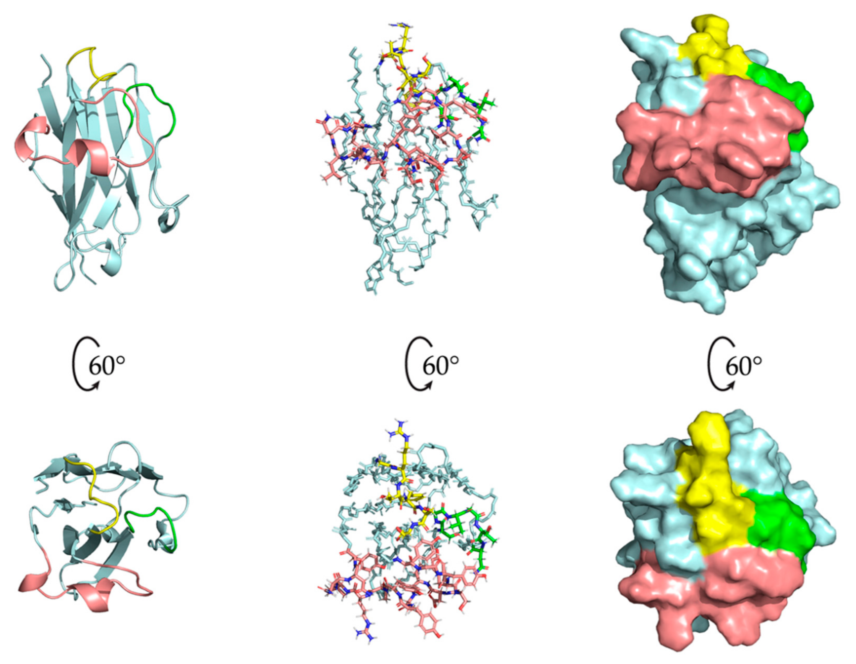 Molecules 26 03567 g006