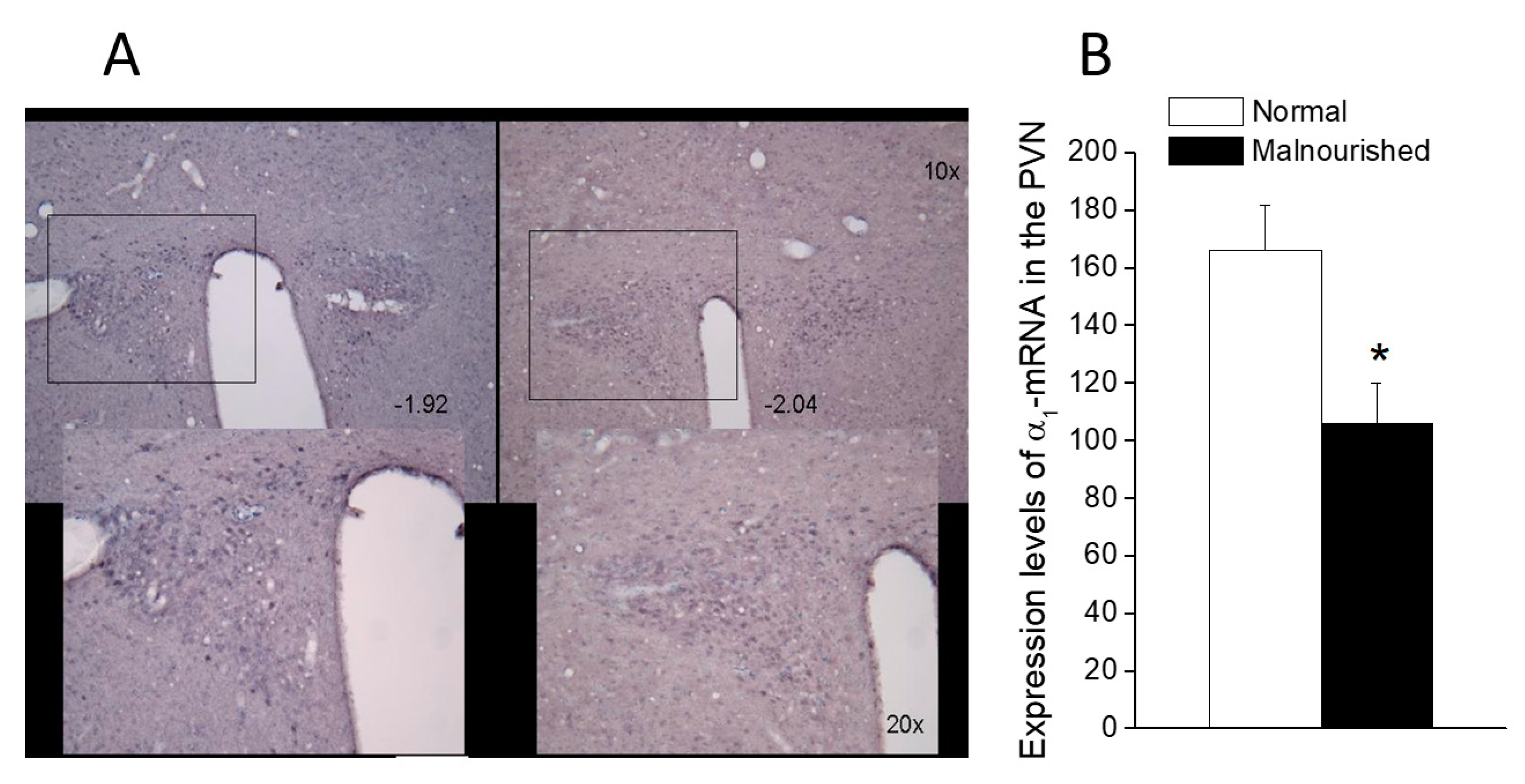 Molecules 26 03568 g006 Molecules 26 03568 g006