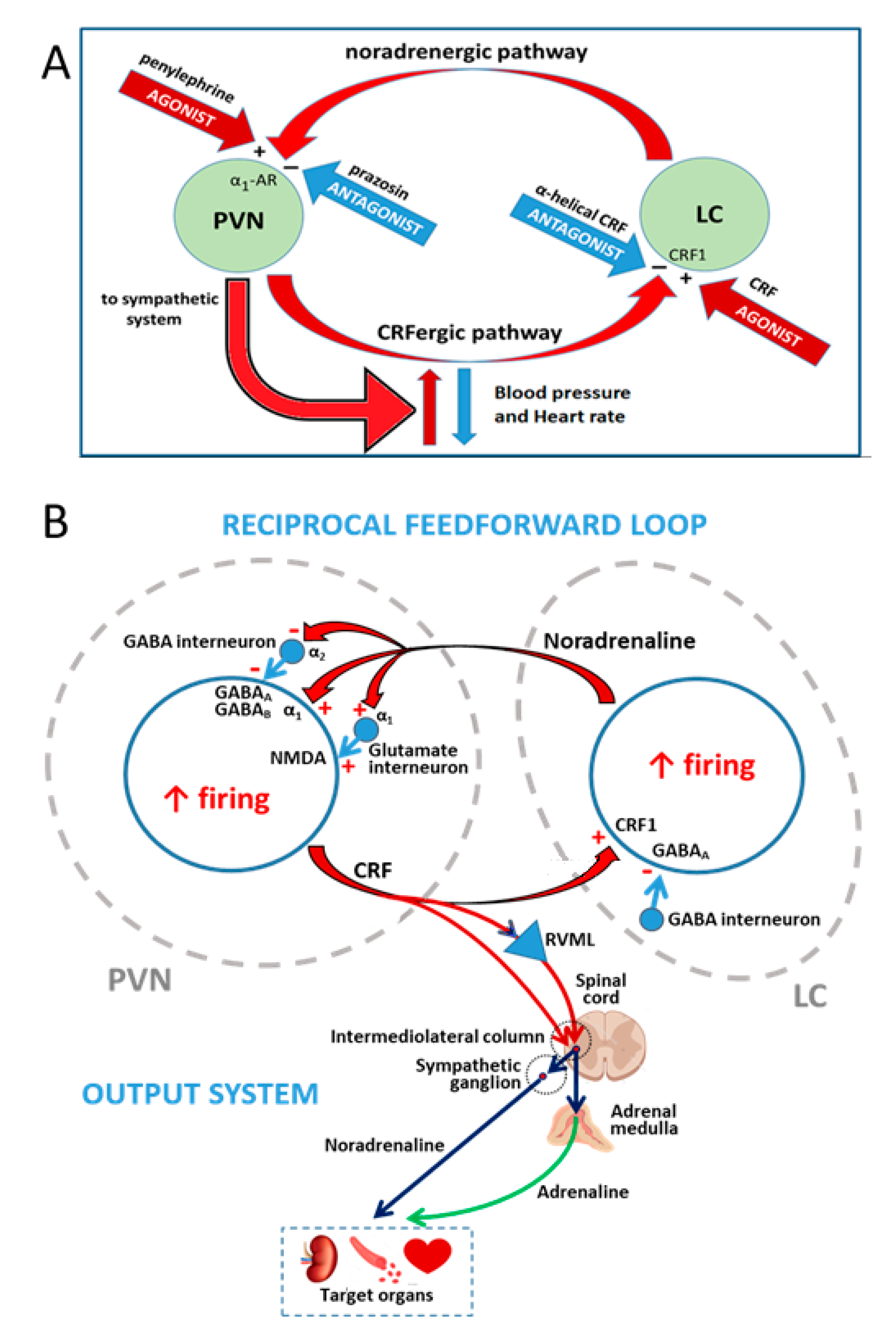 Molecules 26 03568 g007 Molecules 26 03568 g007