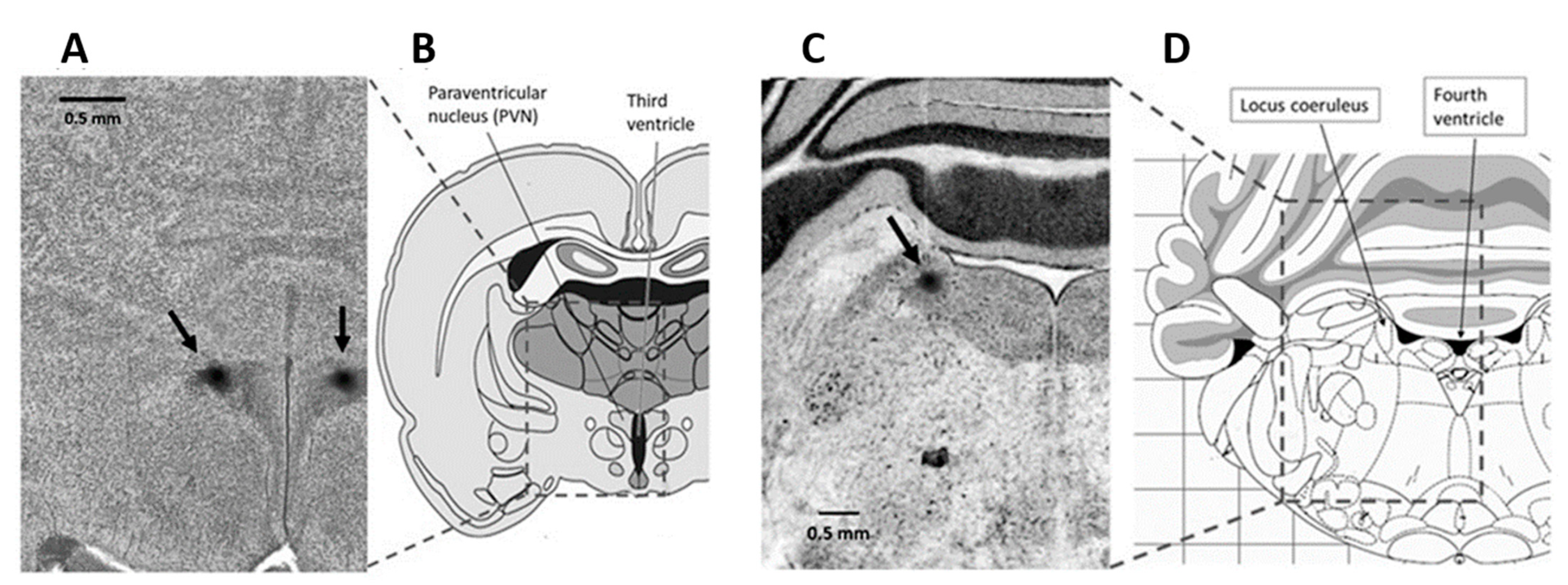 Molecules 26 03568 g008 Molecules 26 03568 g008