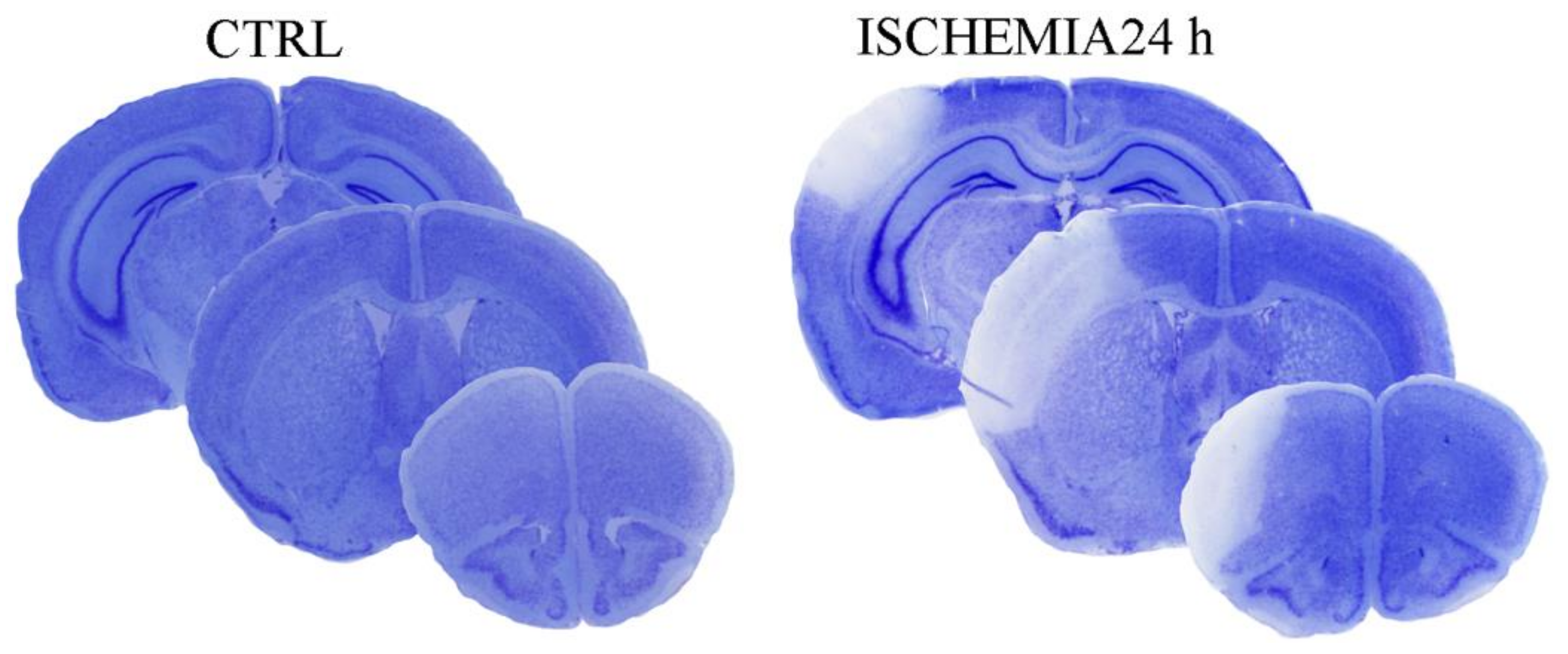 Molecules 26 03578 g001 Molecules 26 03578 g001