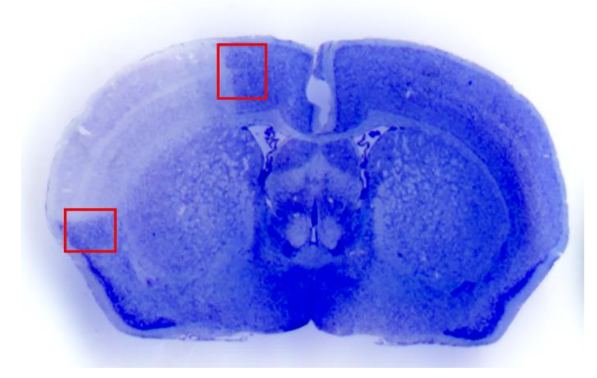 Molecules 26 03578 g002 Molecules 26 03578 g002