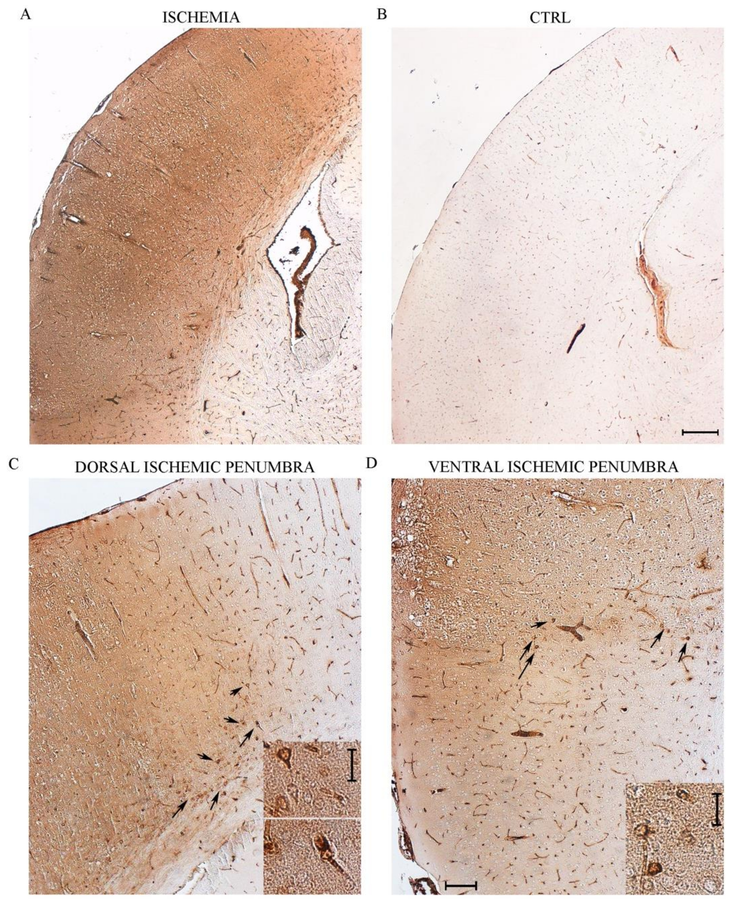 Molecules 26 03578 g003 Molecules 26 03578 g003