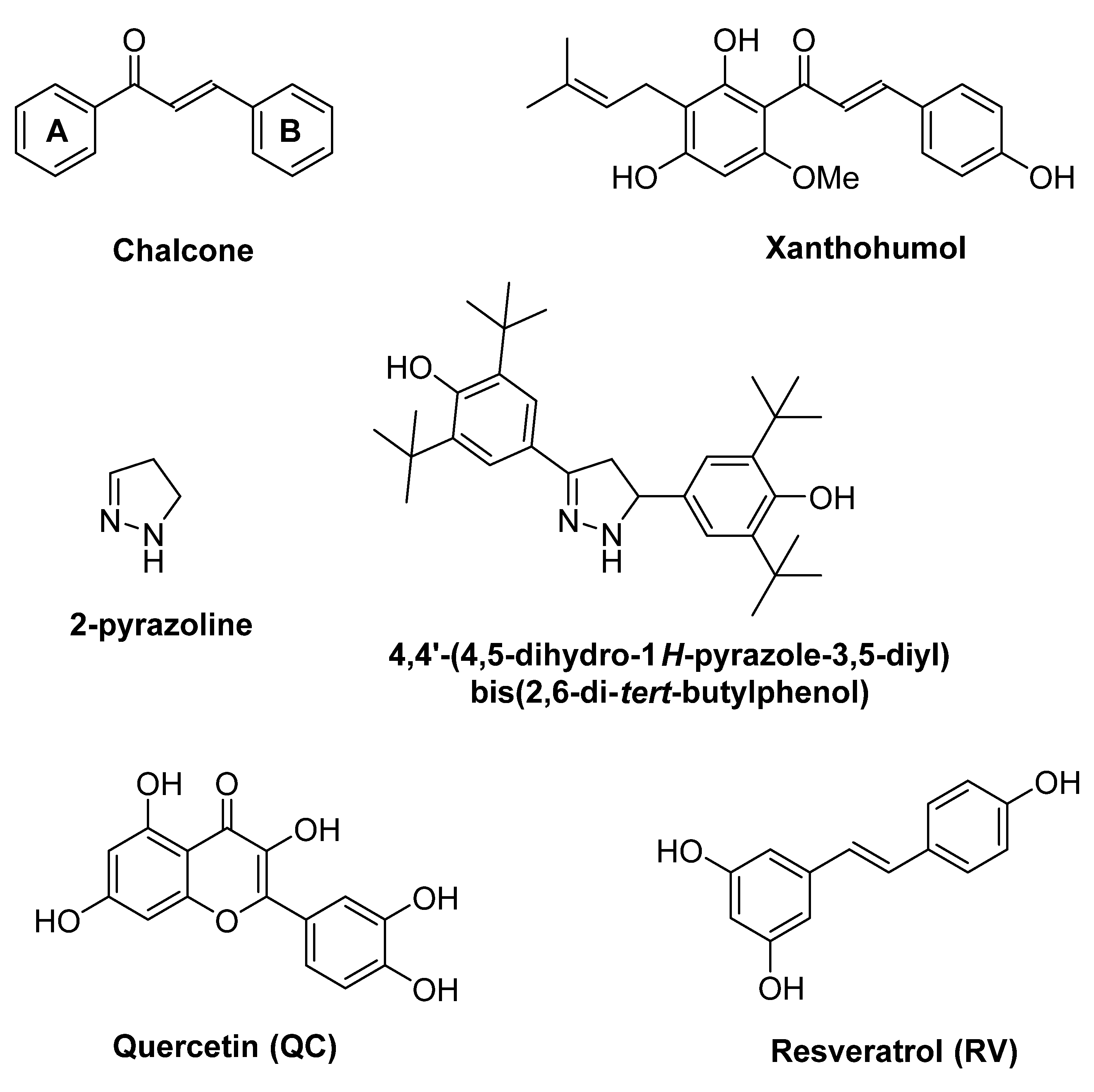 Molecules 26 03579 g001