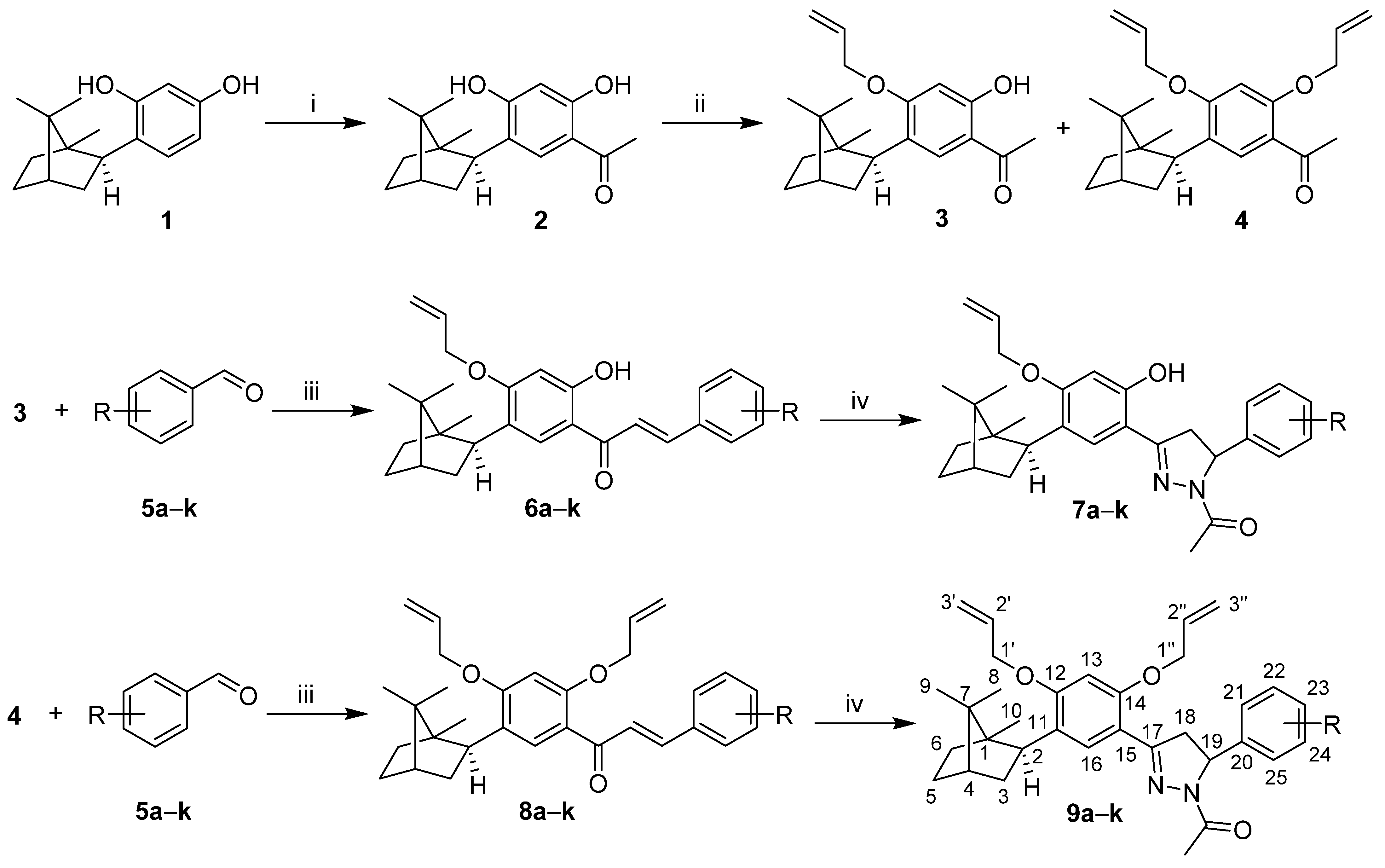Molecules 26 03579 sch001