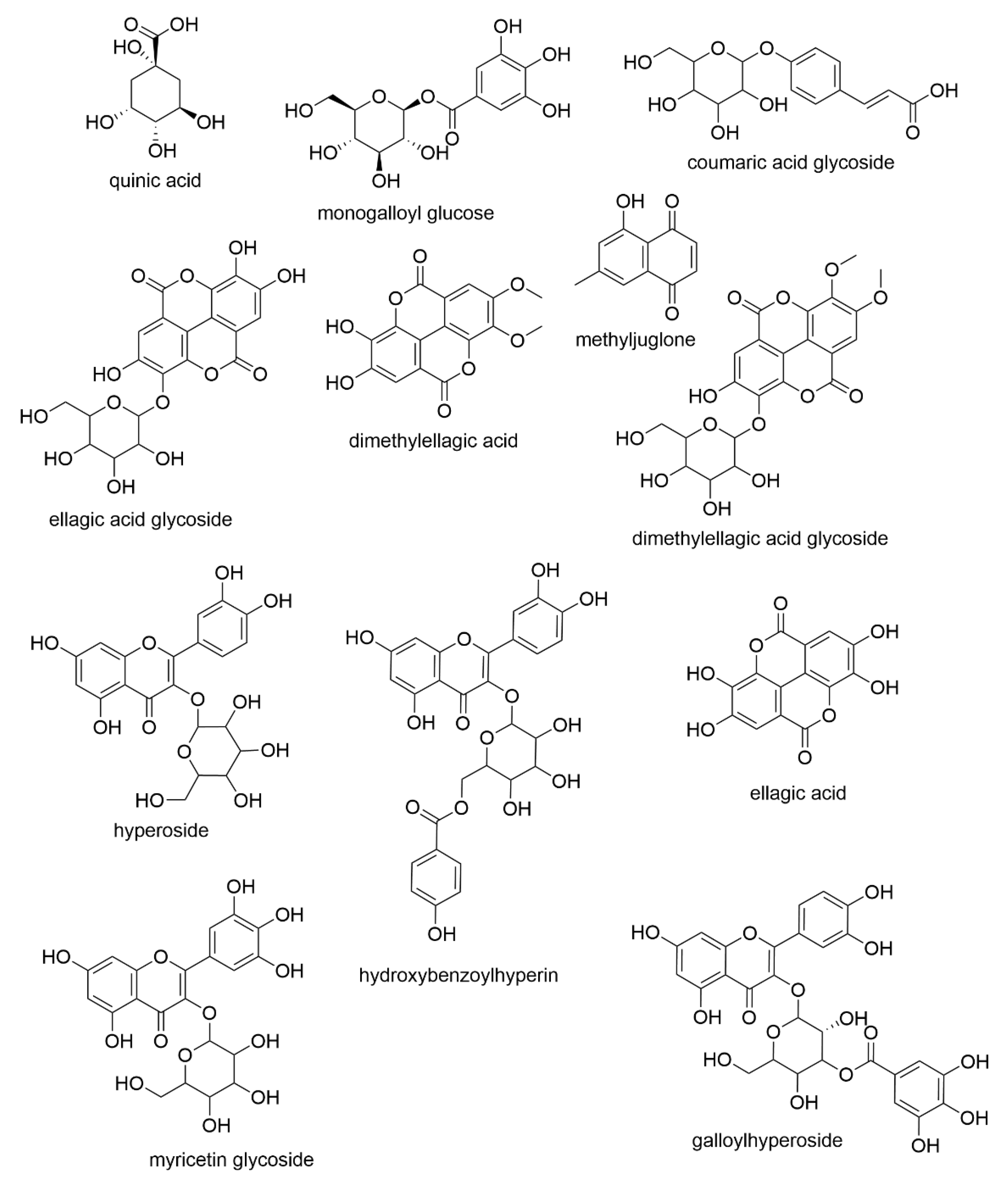 Molecules 26 03581 g007 Molecules 26 03581 g007