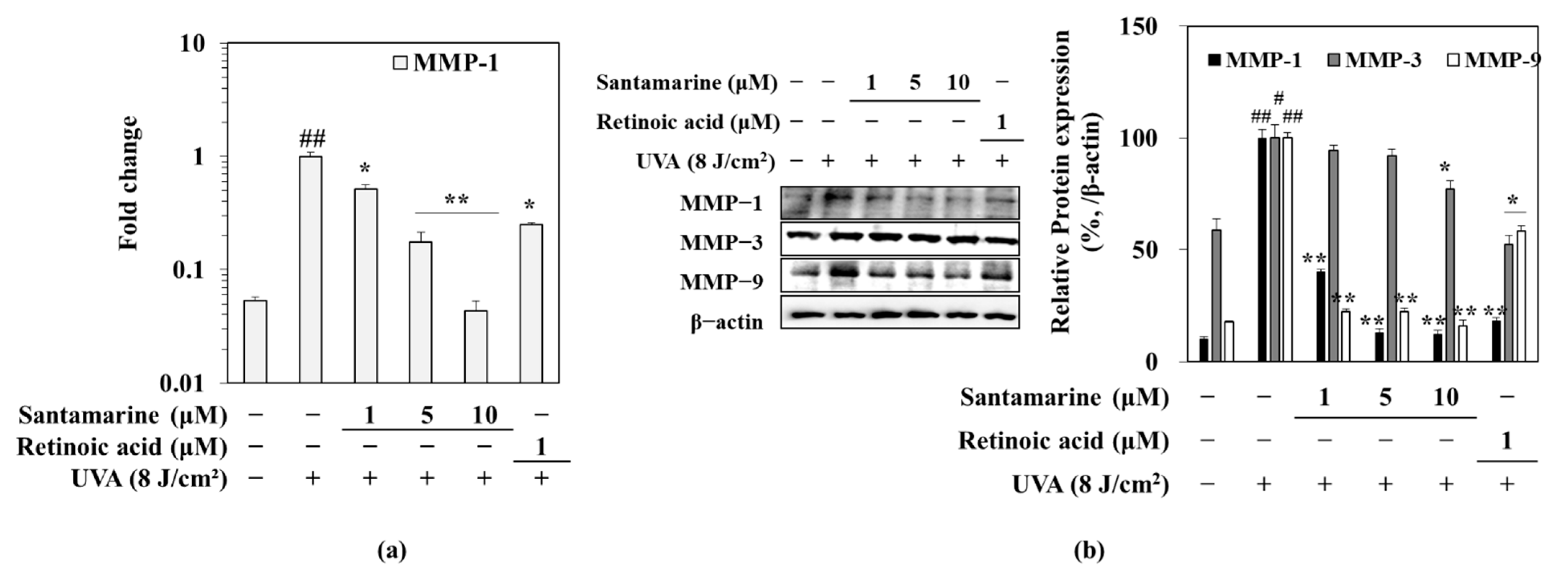 Molecules 26 03585 g004