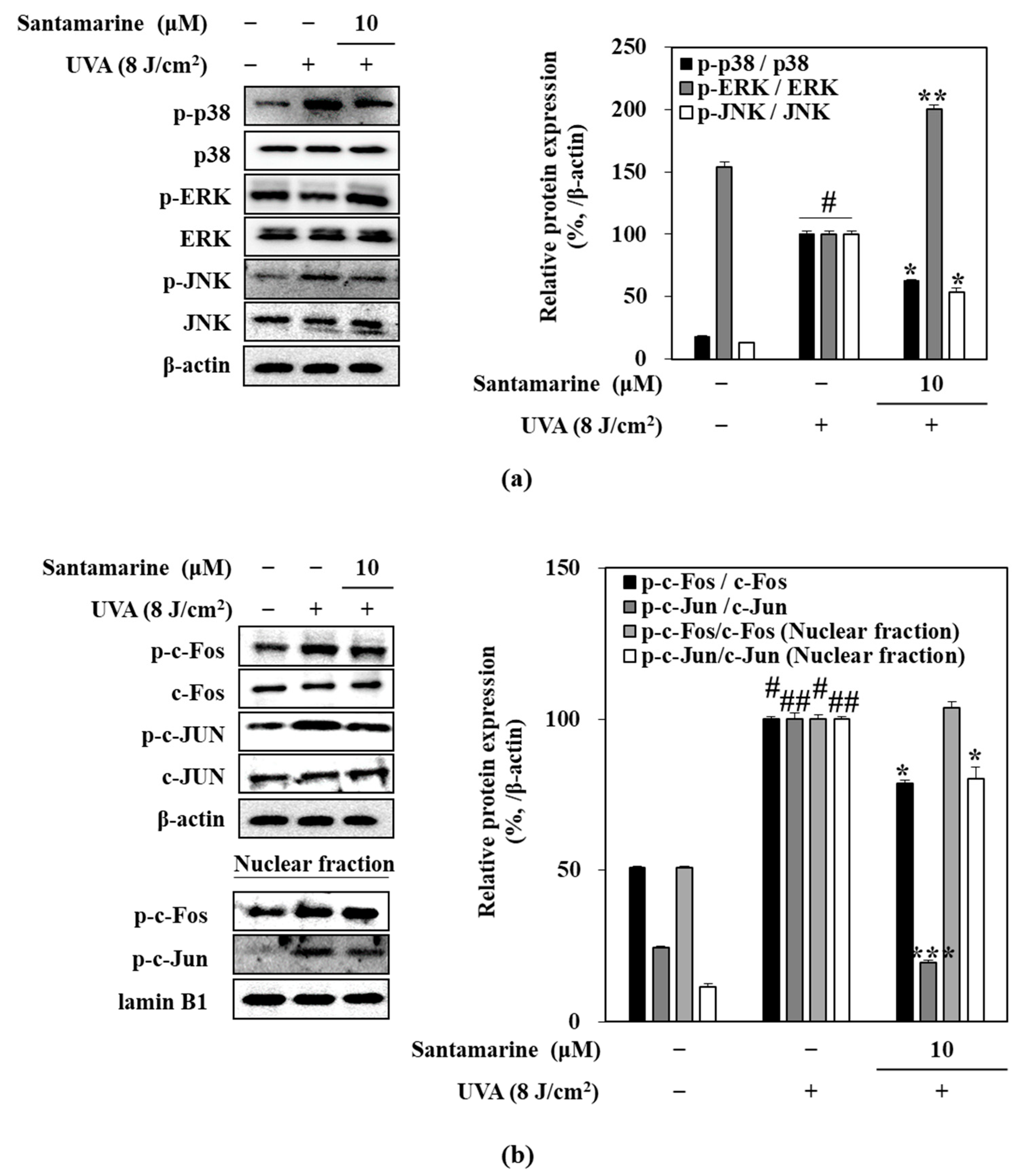 Molecules 26 03585 g005