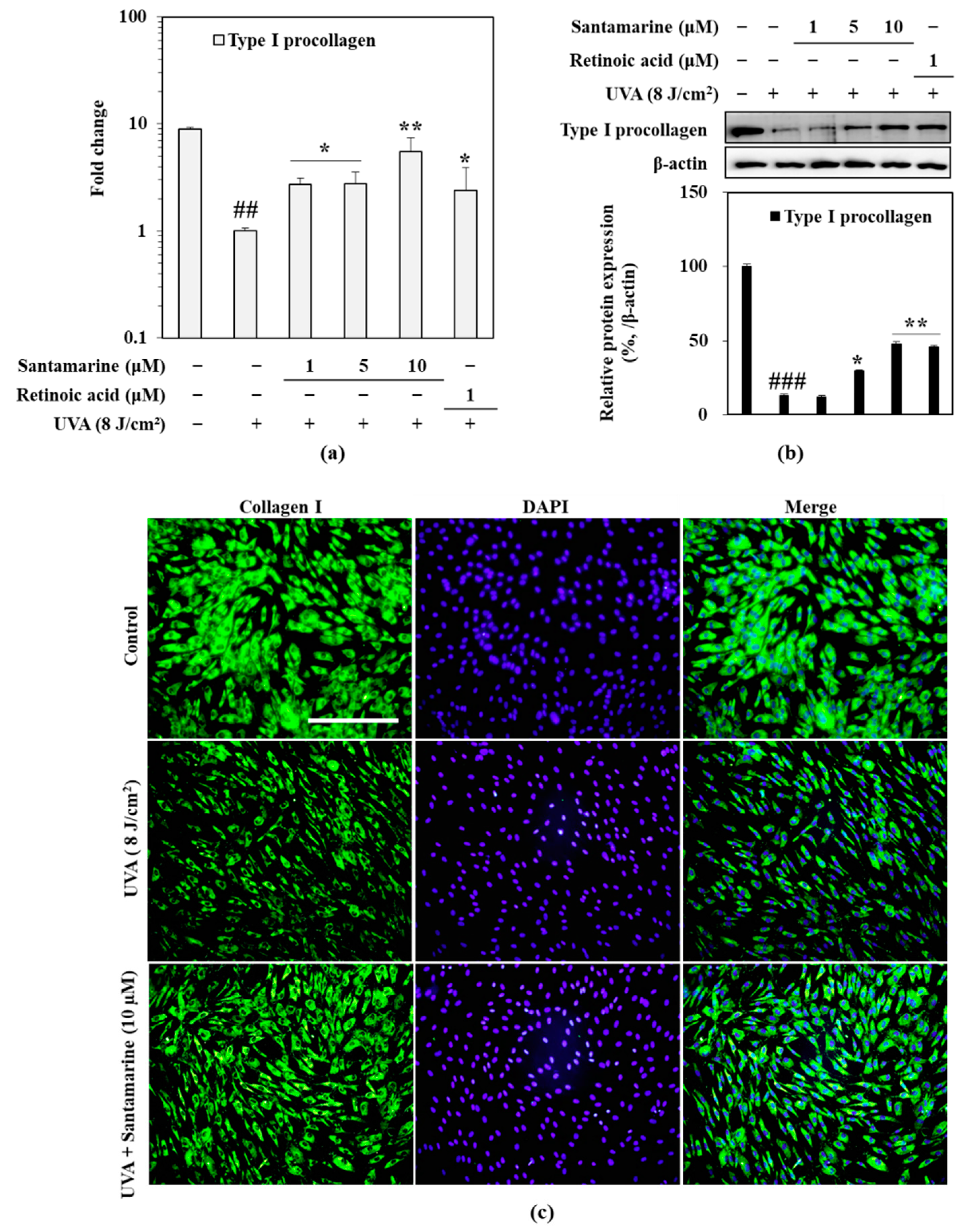 Molecules 26 03585 g006