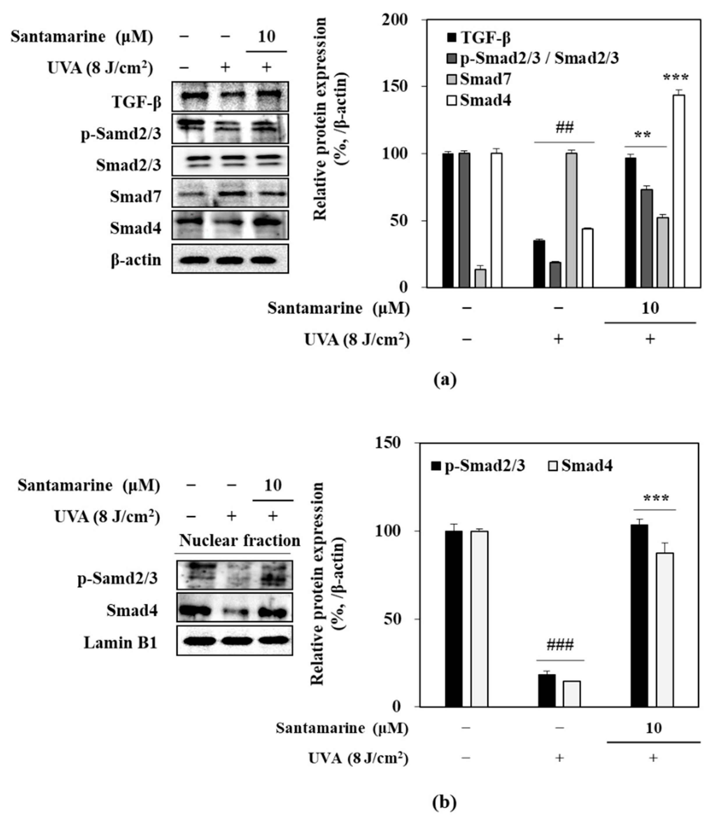 Molecules 26 03585 g007