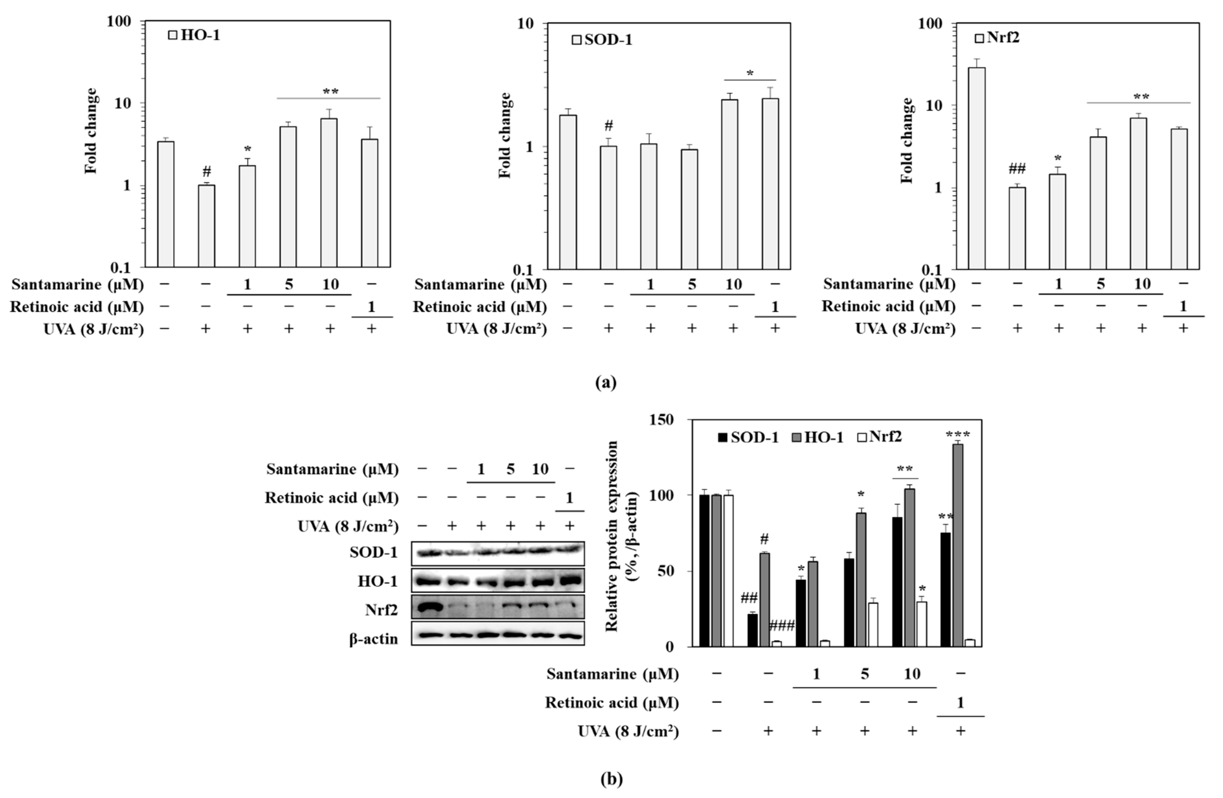Molecules 26 03585 g008