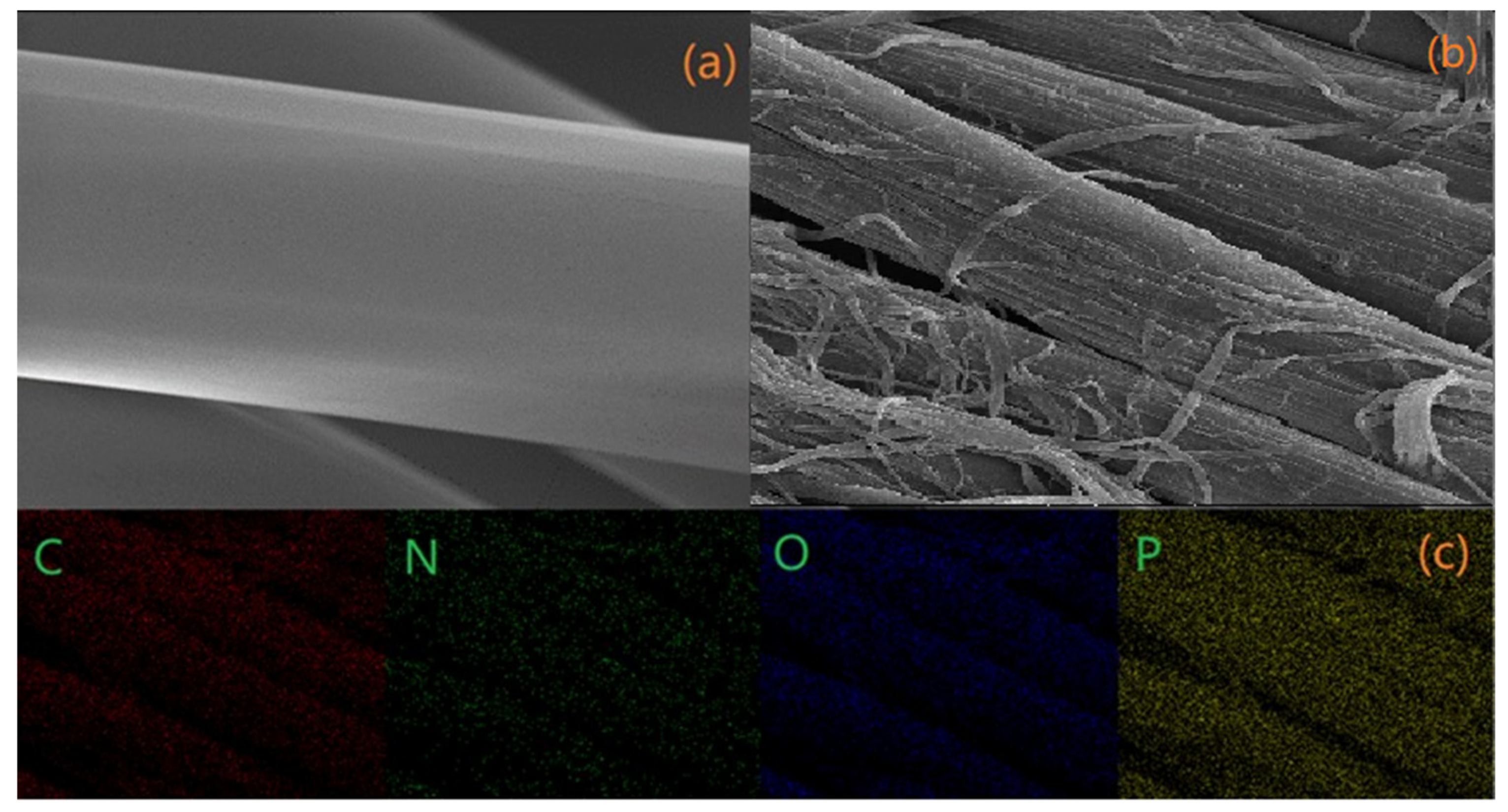 Molecules 26 03588 g005a Molecules 26 03588 g005a