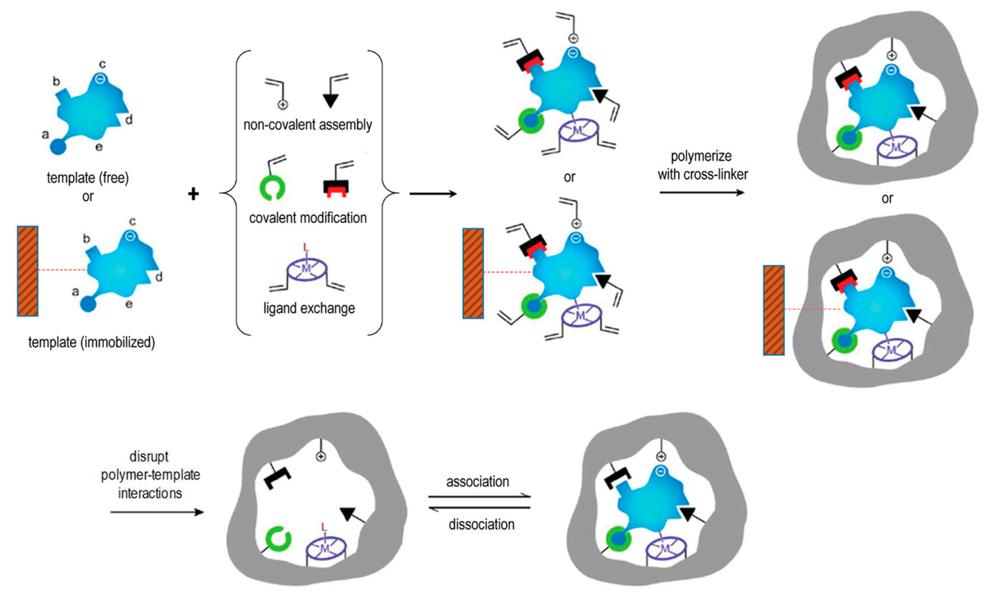 Molecules 26 03589 g001 Molecules 26 03589 g001