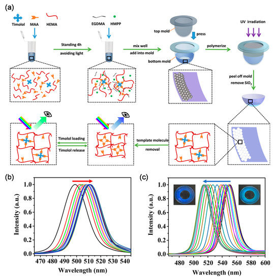 Advances in Molecularly Imprinted Polymers as Drug Delivery Systems