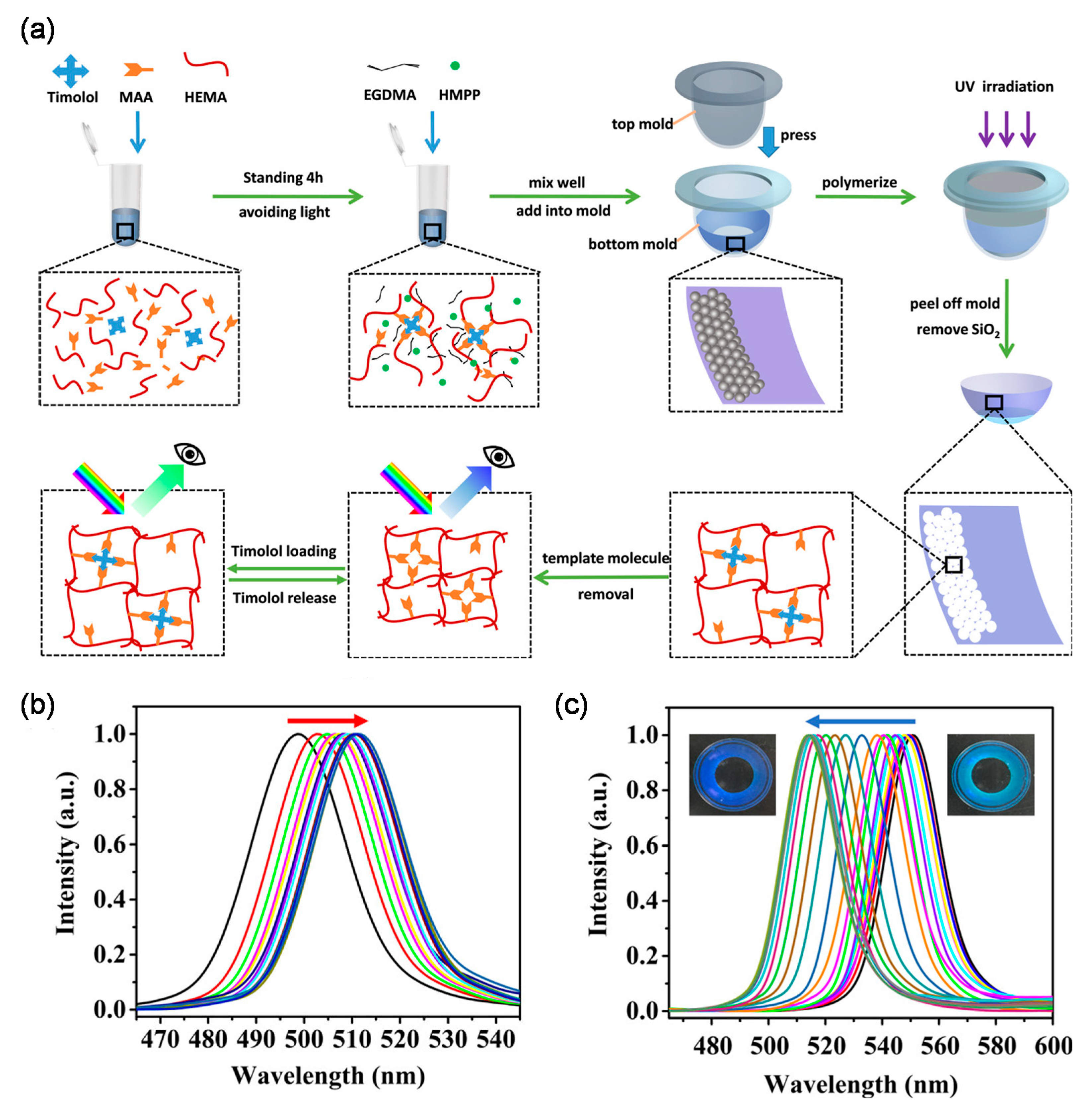 Molecules 26 03589 g004 Molecules 26 03589 g004