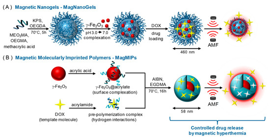 Advances in Molecularly Imprinted Polymers as Drug Delivery Systems