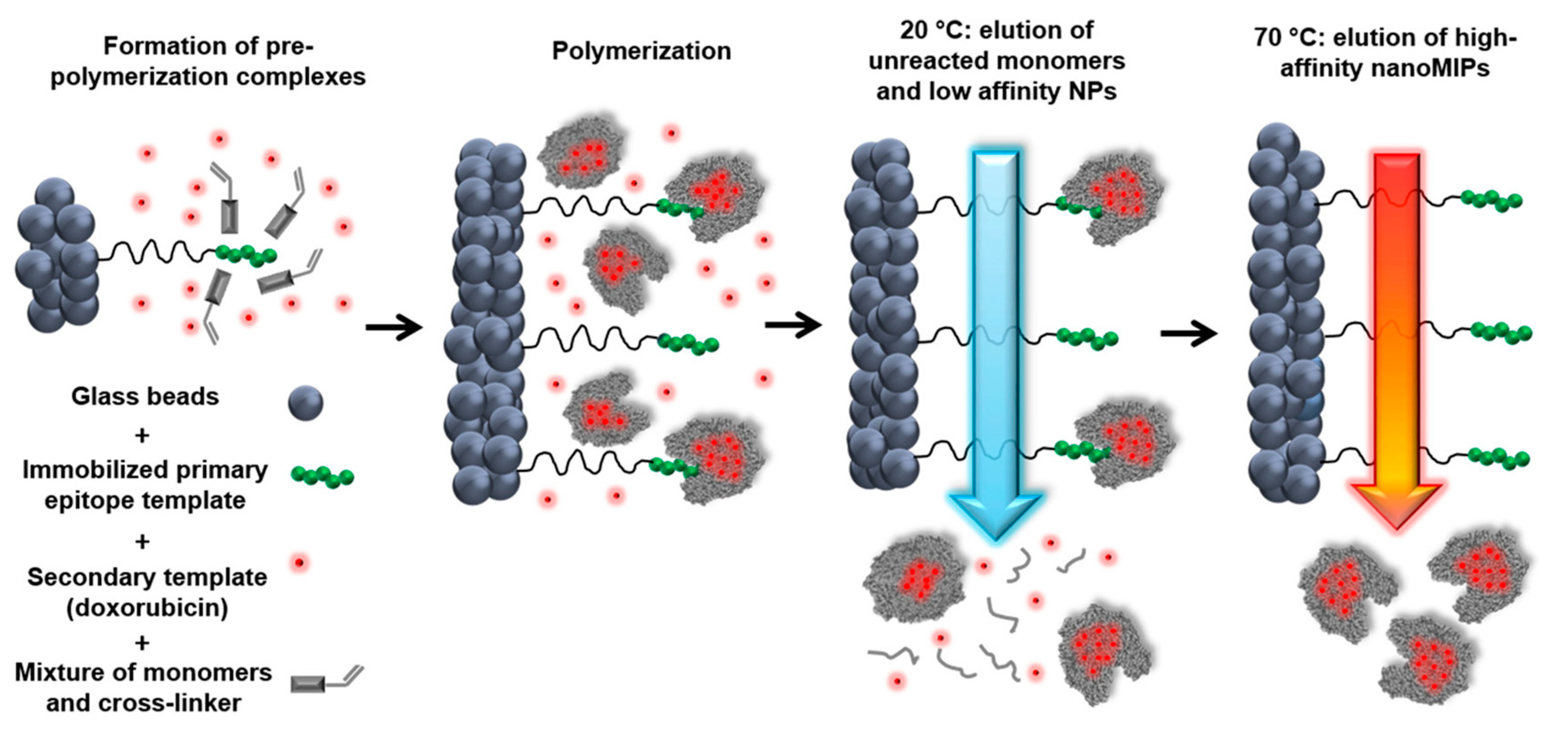 Molecules 26 03589 g010 Molecules 26 03589 g010