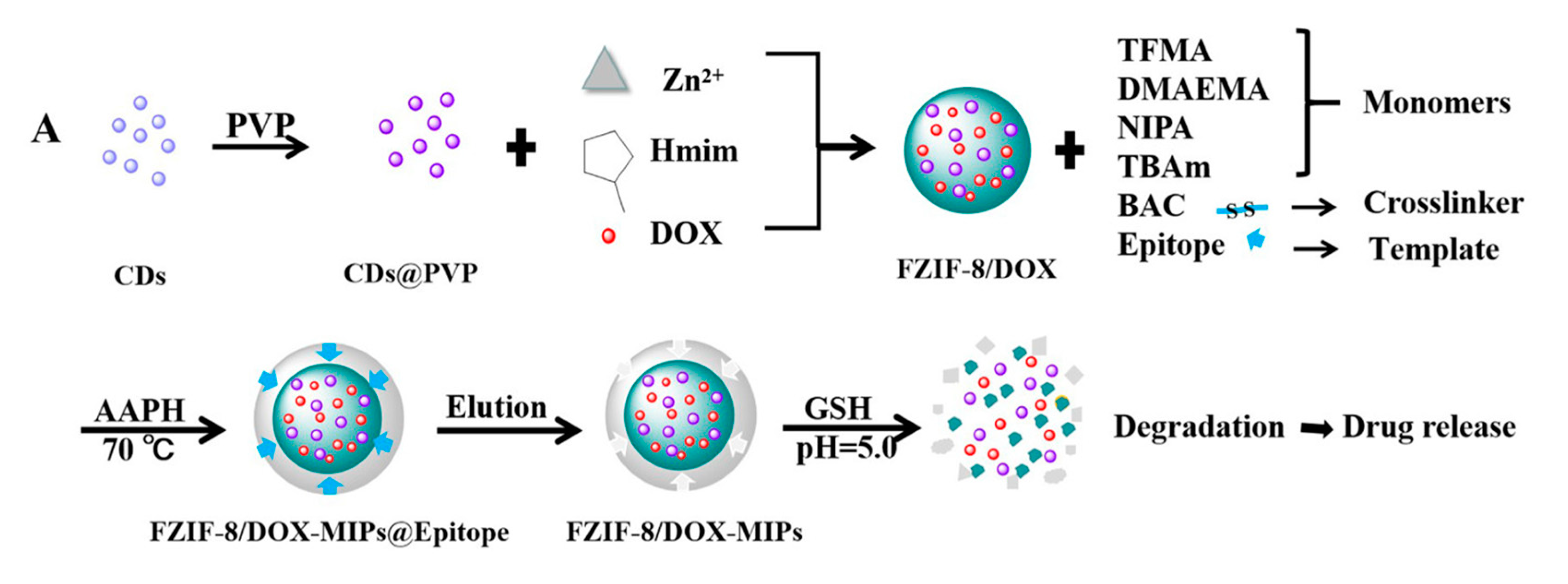 Molecules 26 03589 g011a Molecules 26 03589 g011a