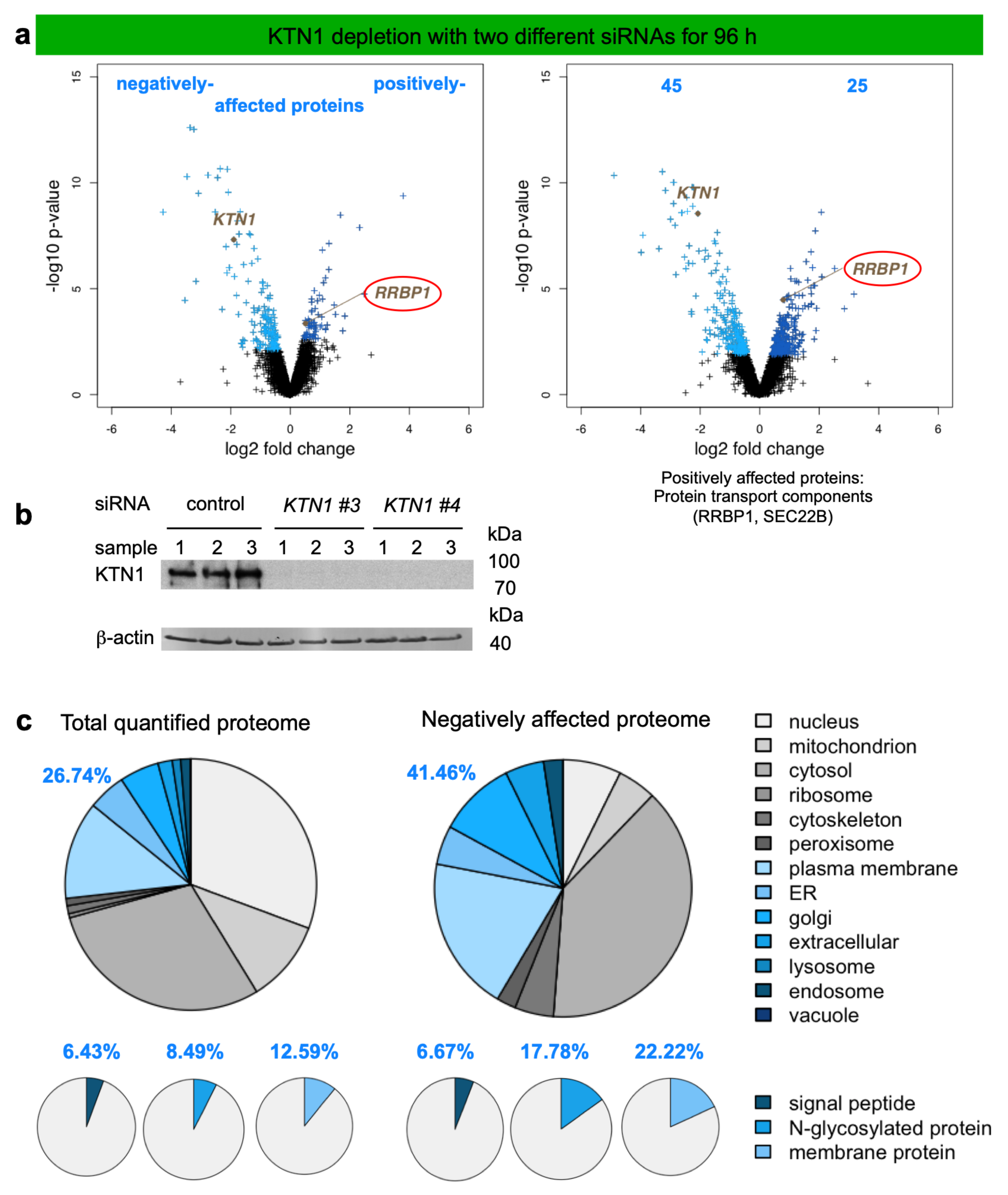 Molecules 26 03591 g006 Molecules 26 03591 g006