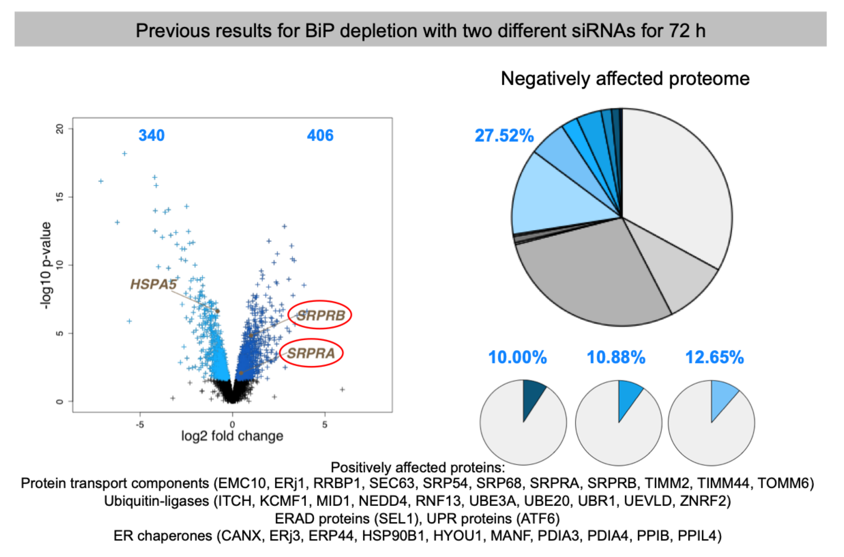 Molecules 26 03591 g008 Molecules 26 03591 g008
