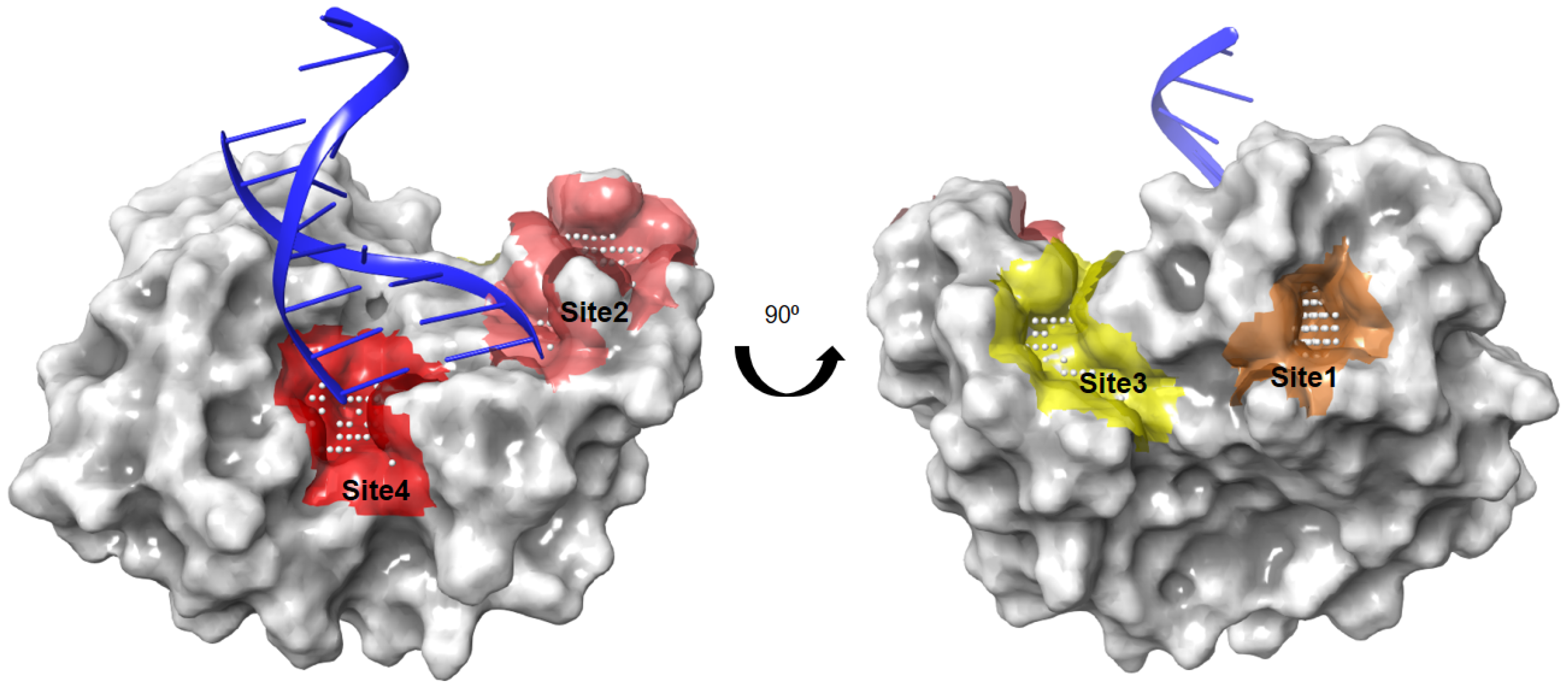 Molecules 26 03592 g001 Molecules 26 03592 g001