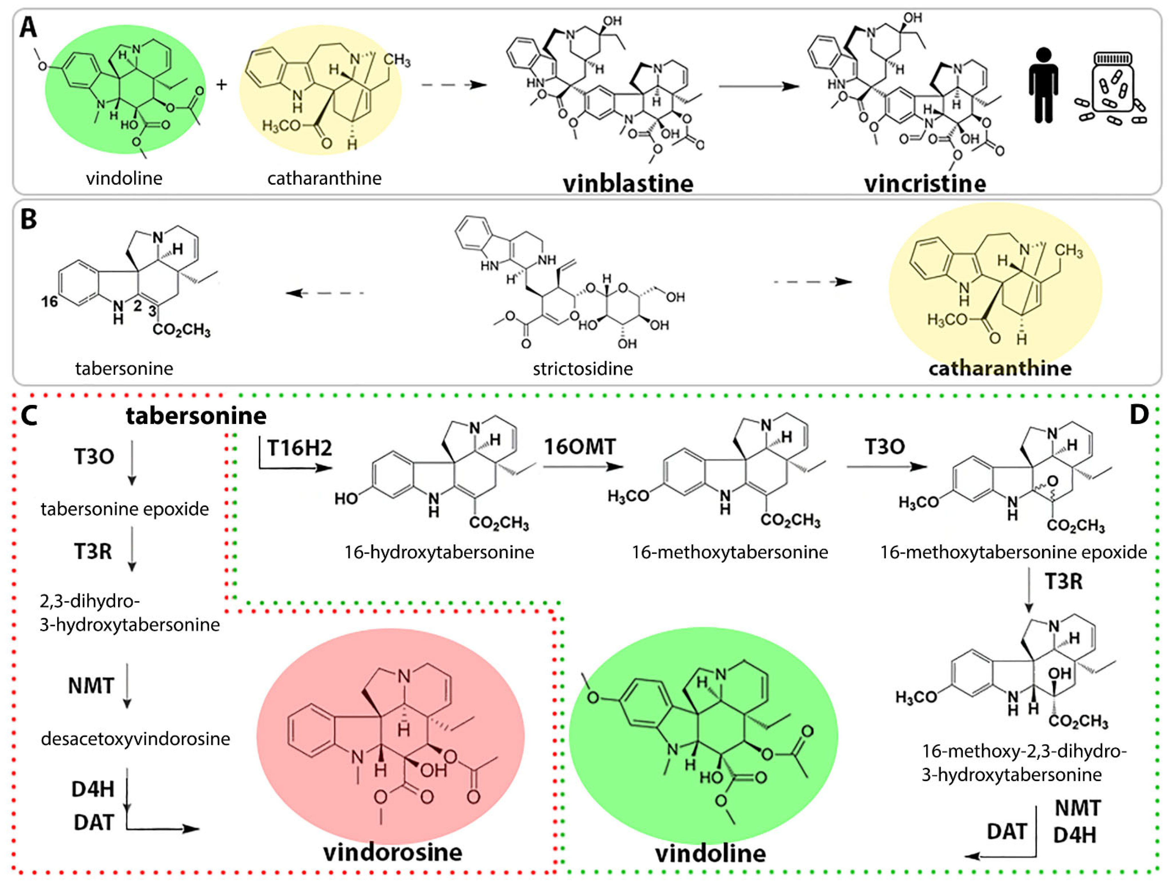 Molecules 26 03596 g001