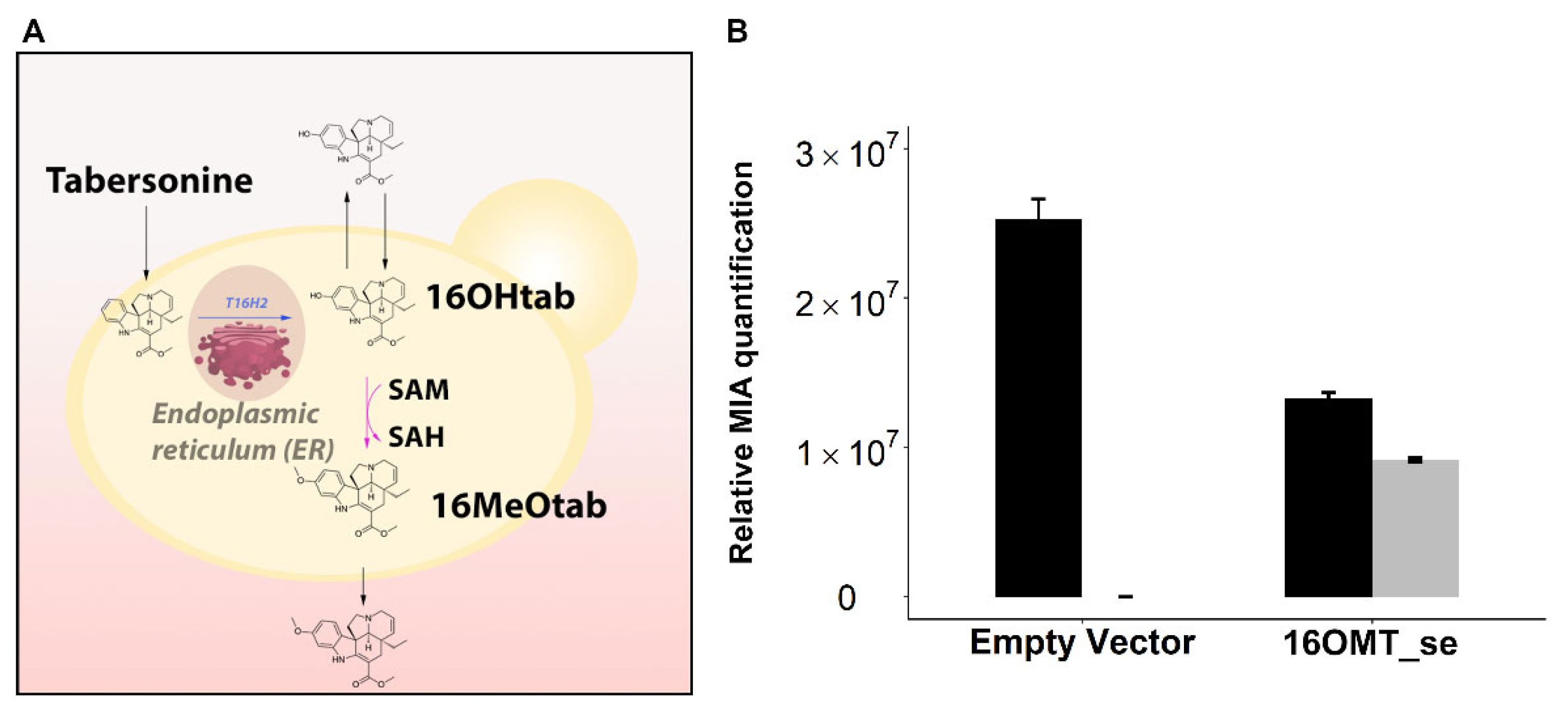 Molecules 26 03596 g004