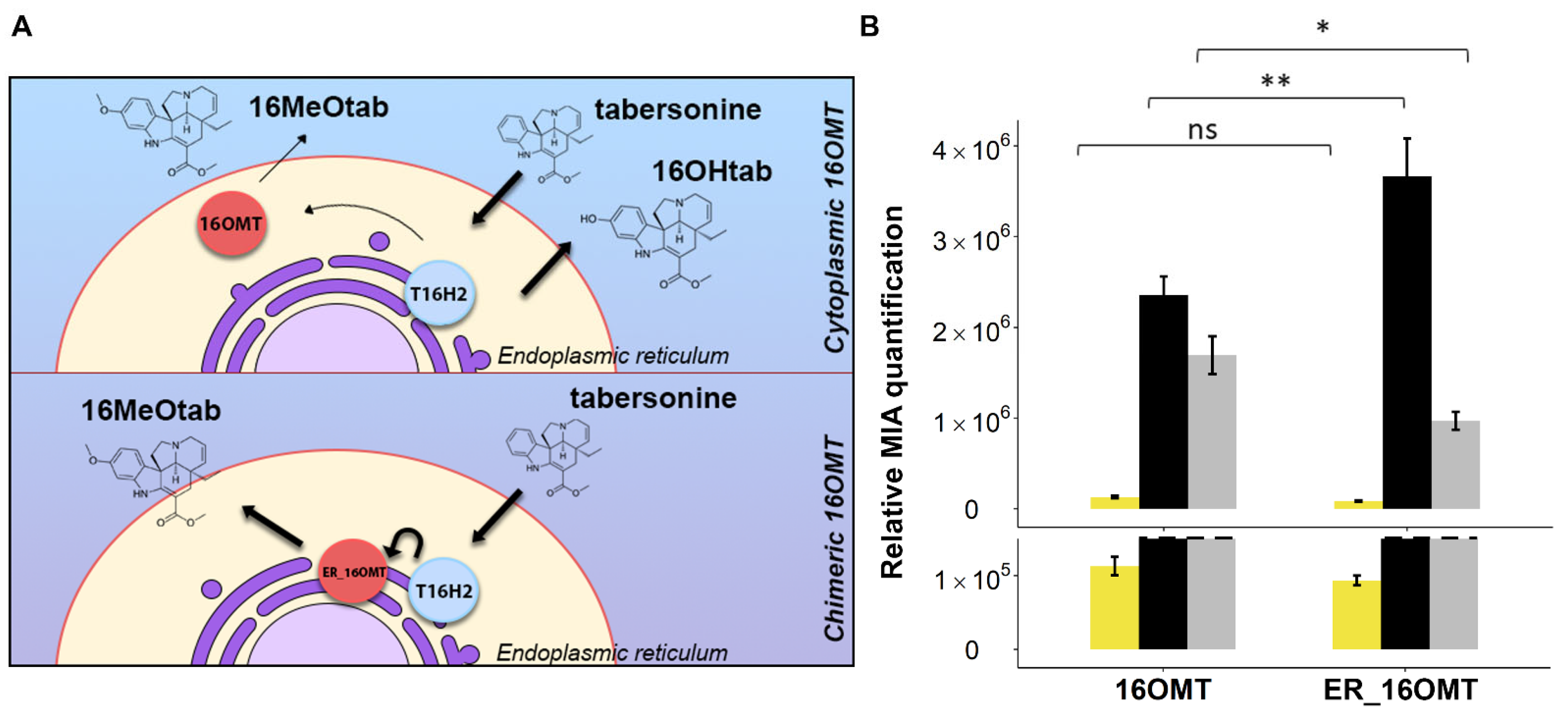 Molecules 26 03596 g005
