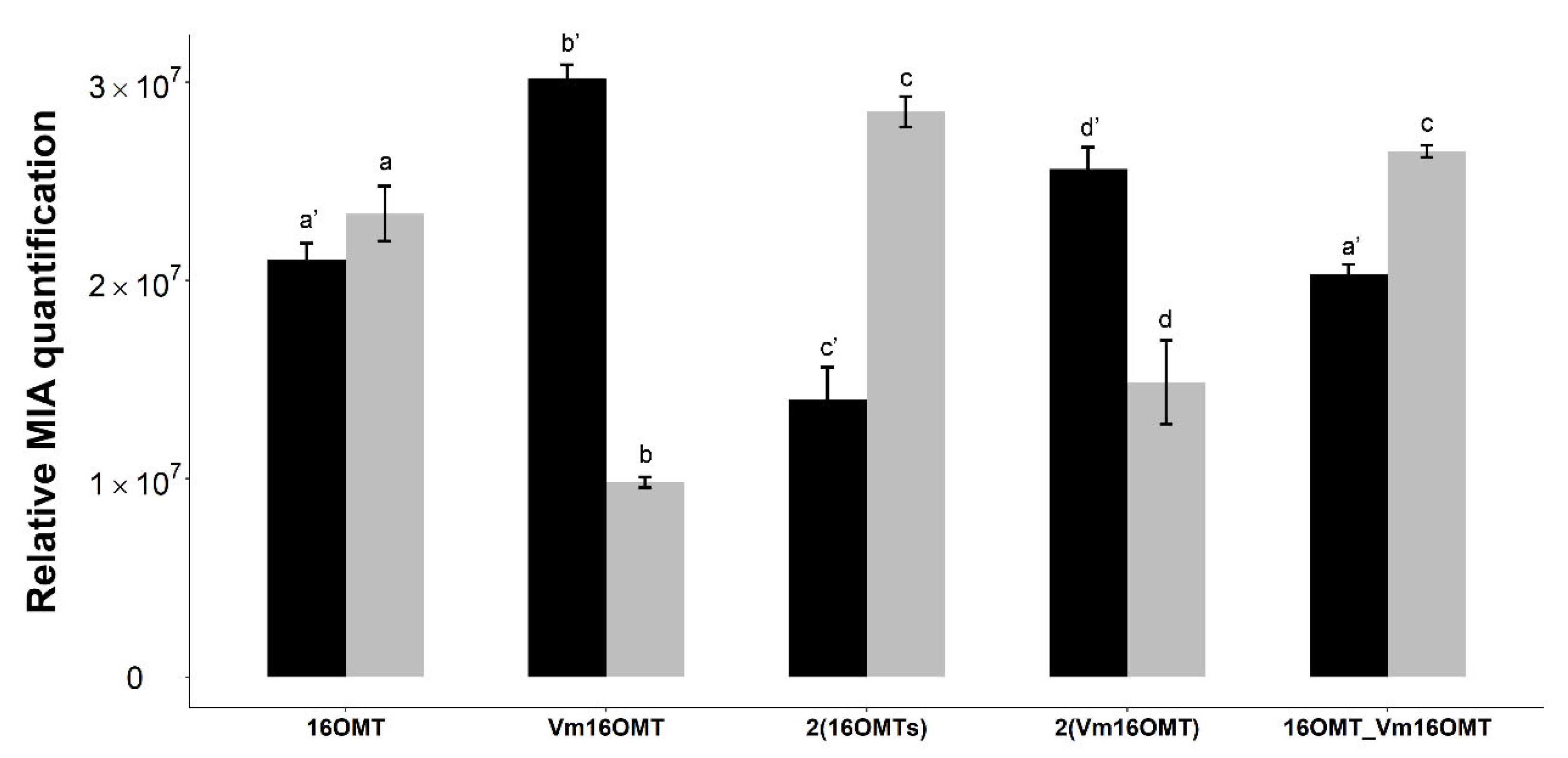 Molecules 26 03596 g006